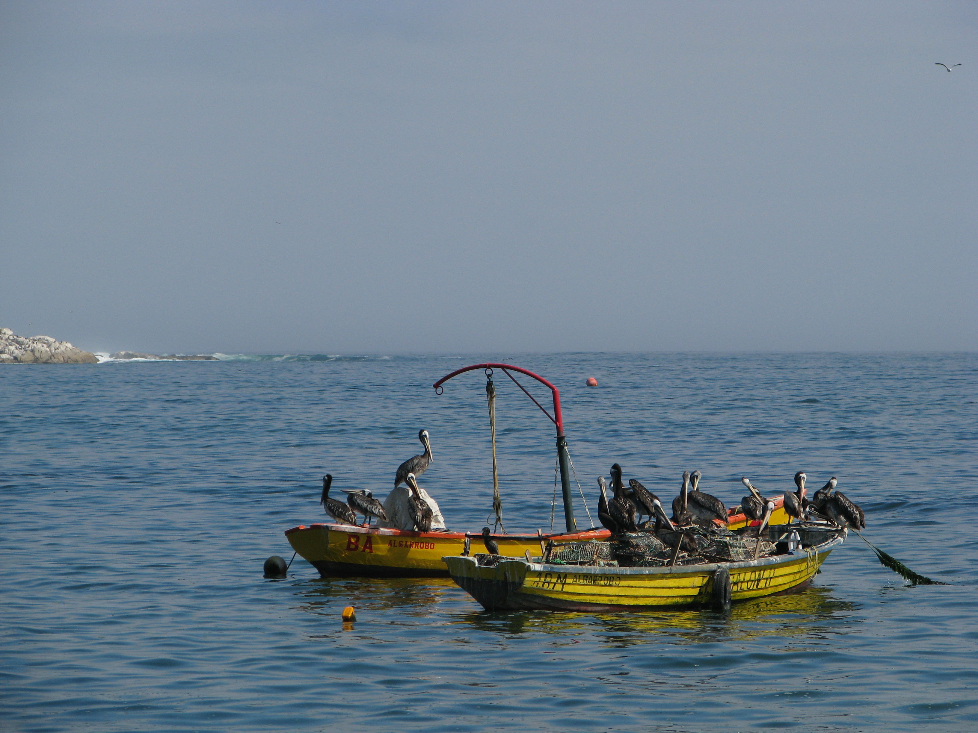 Bahìa de Algarrobo, por ALEJANDRO VERZINI