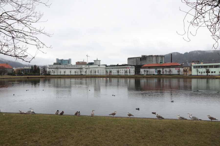 Lago Lungegårdsvannet o Smålungeren, por ANADEL