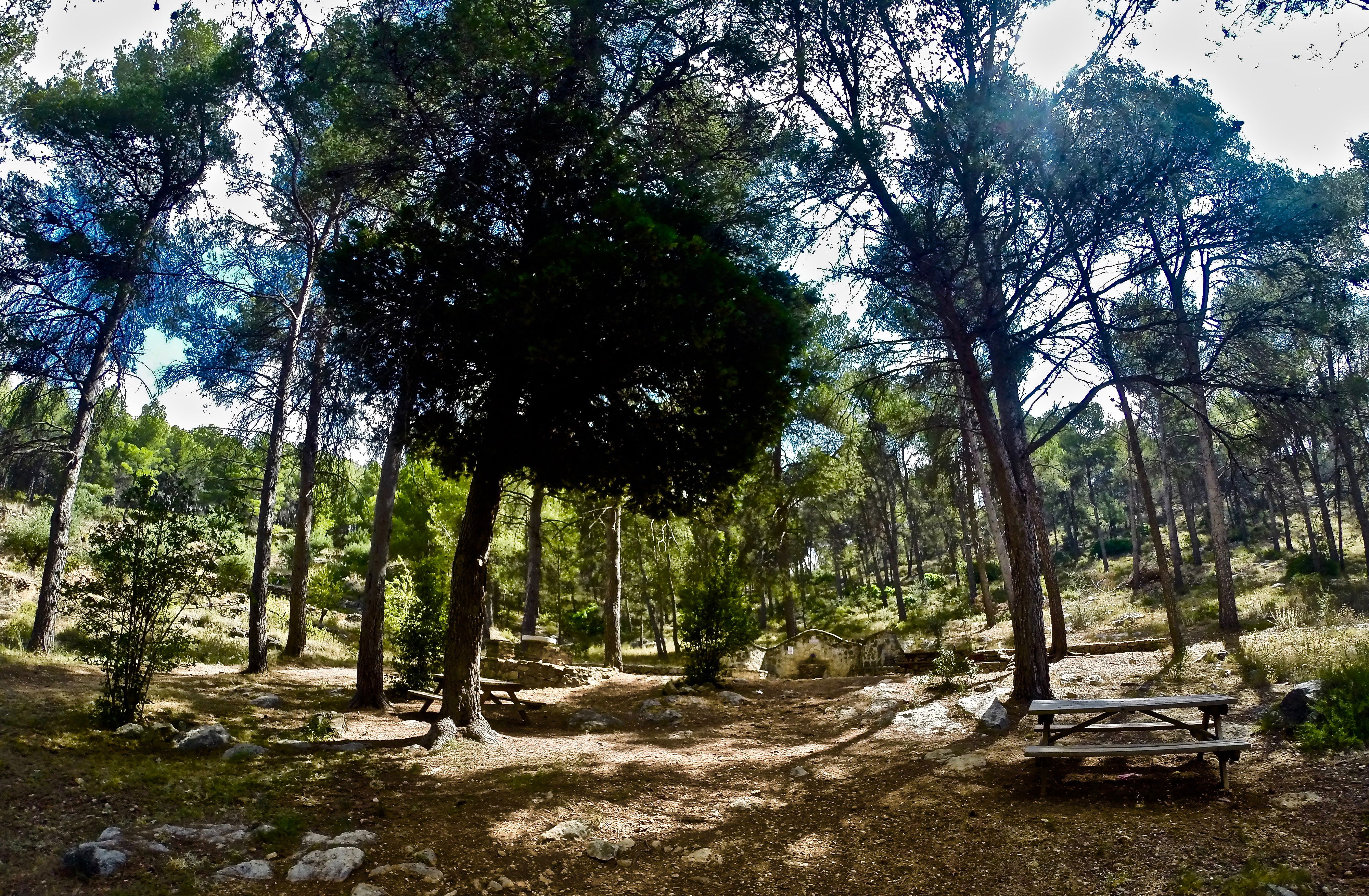 Zonas recreativas de Valencia para disfrutar en plena naturaleza