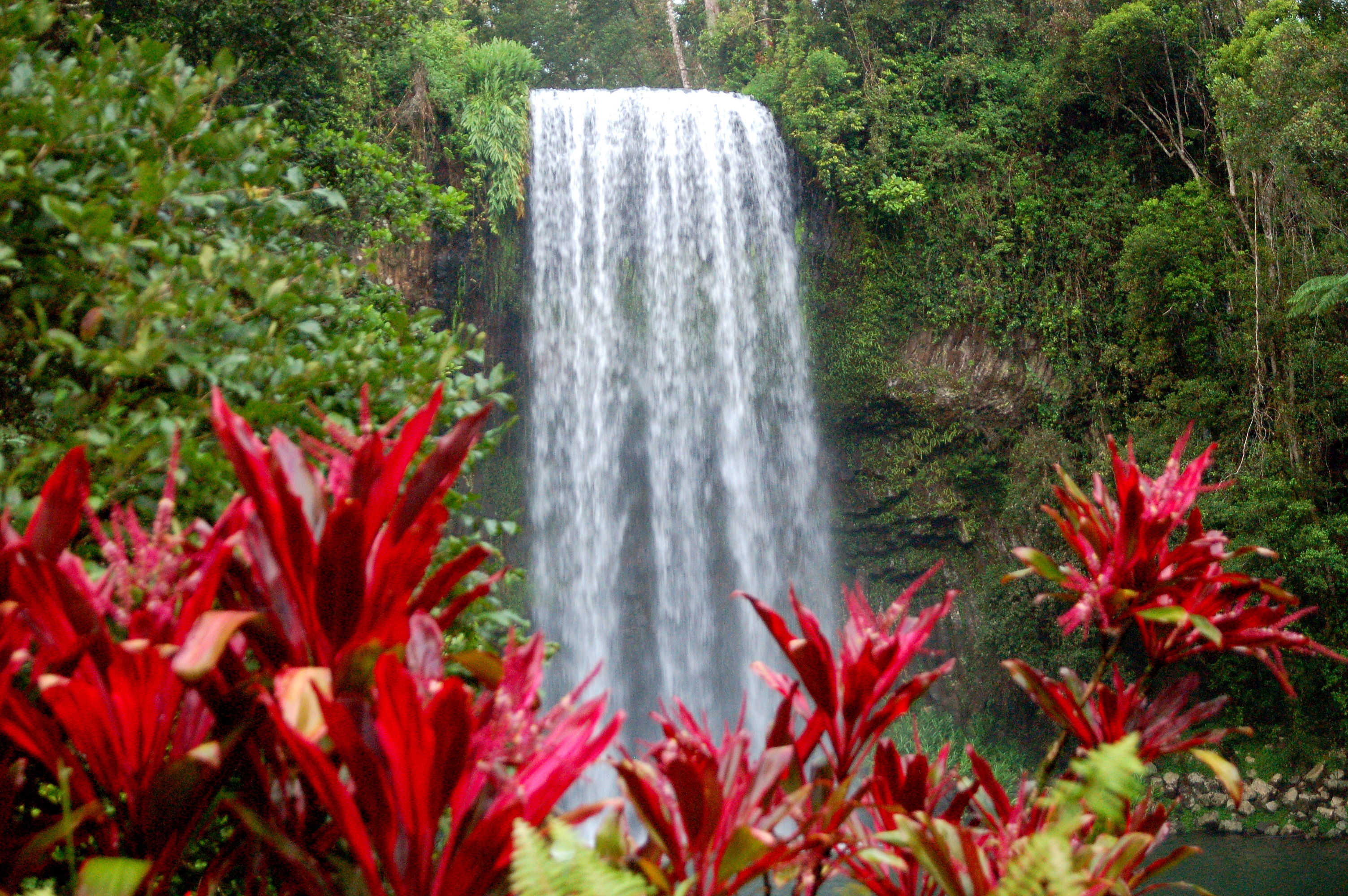 Millaa Millaa Falls, por naxos