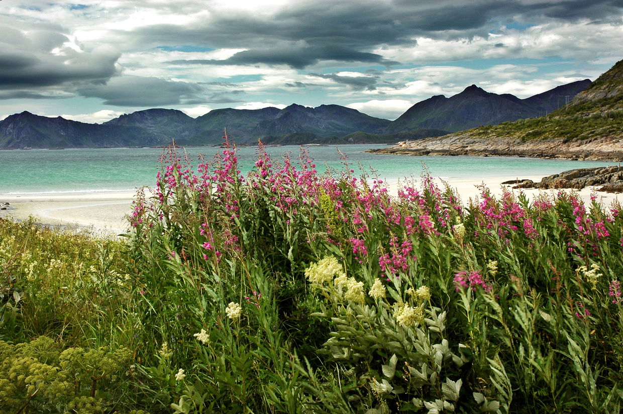 Playa de arenas blancas en Rørvik (Rørvik Strand), por Alfonso Navarro Táppero