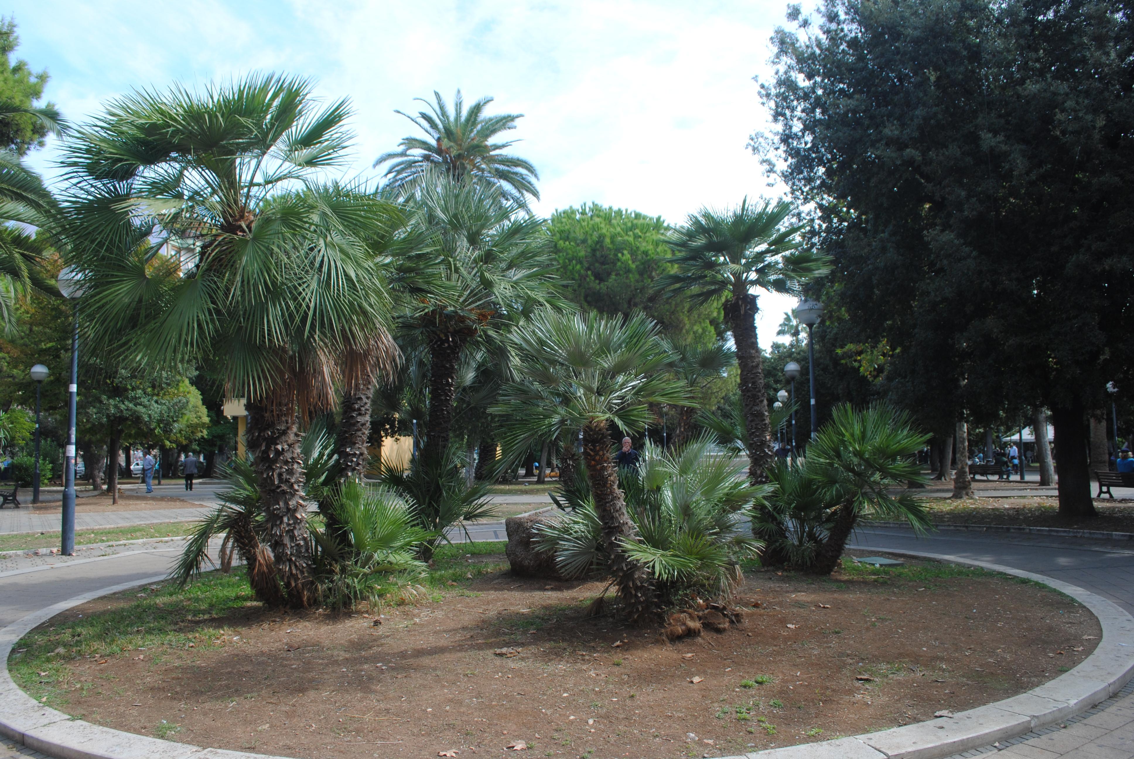 Encanto y tradición en las plazas de Bari que te enamorarán