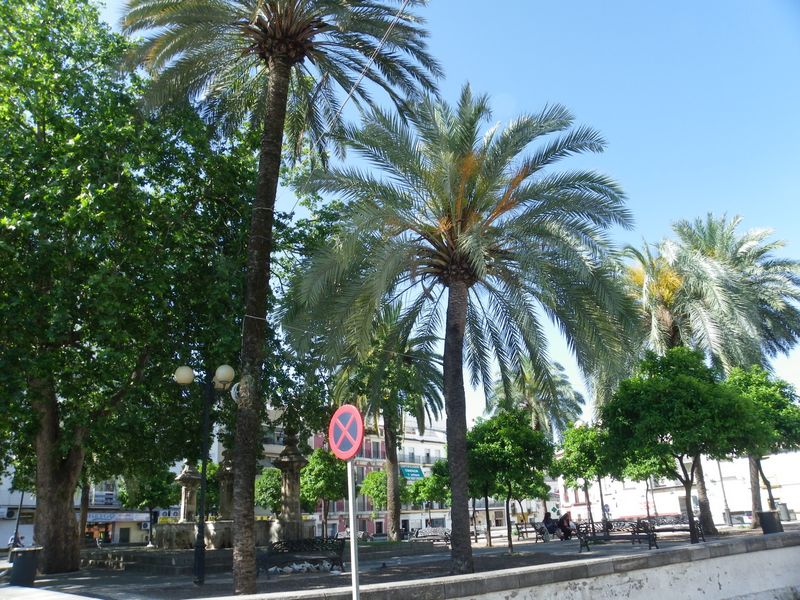 Plaza Santa María, por paulinette
