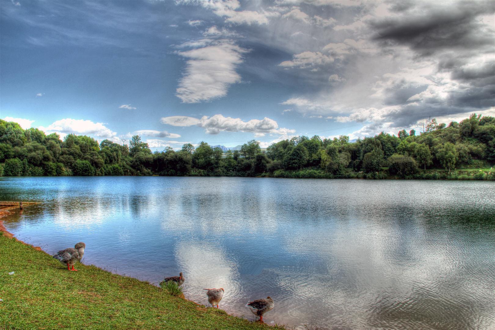 Lago de Cabárceno, por David Navarro Garrido