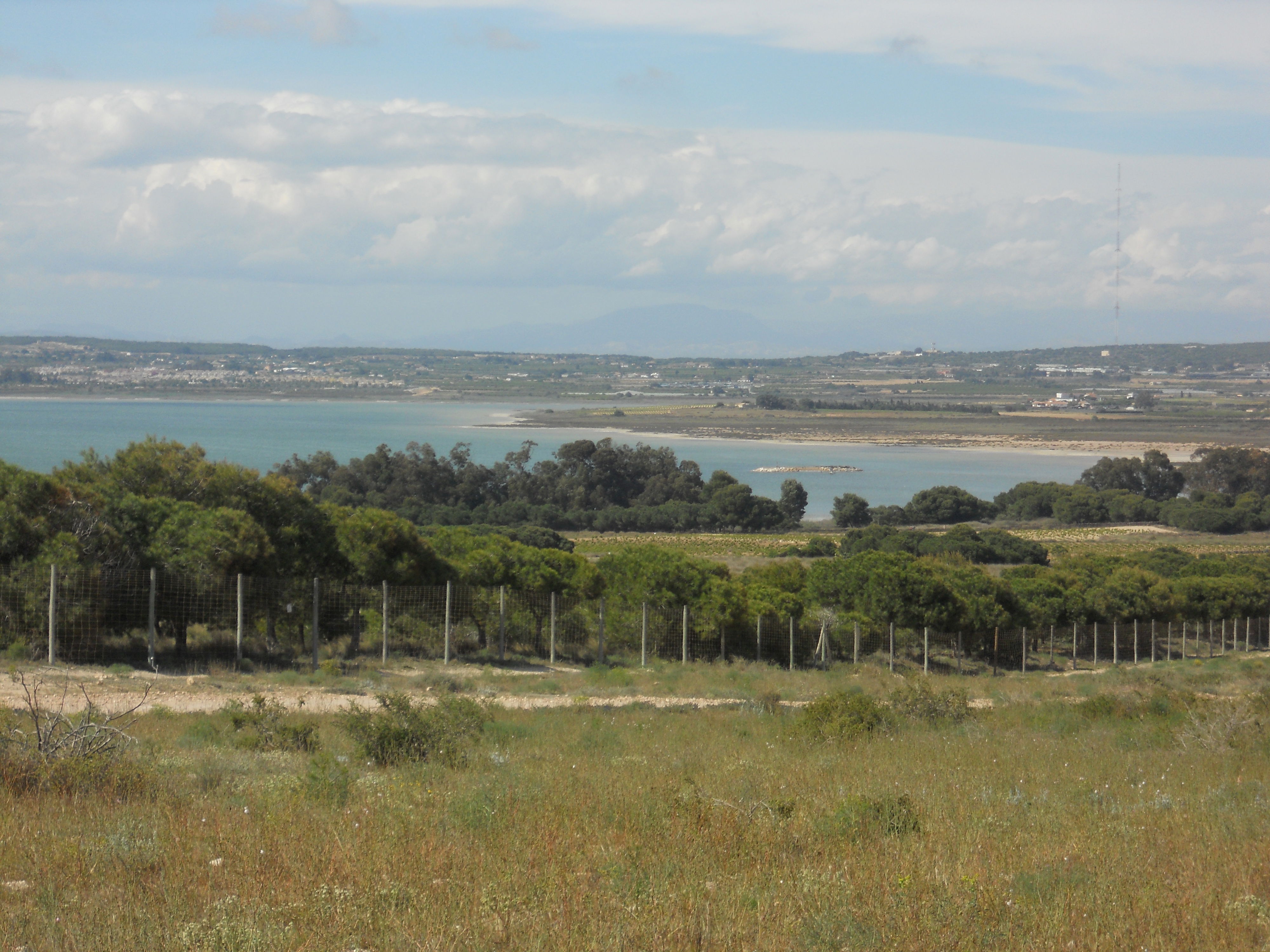 Lagos en Alicante: descubre los rincones acuáticos más cautivadores