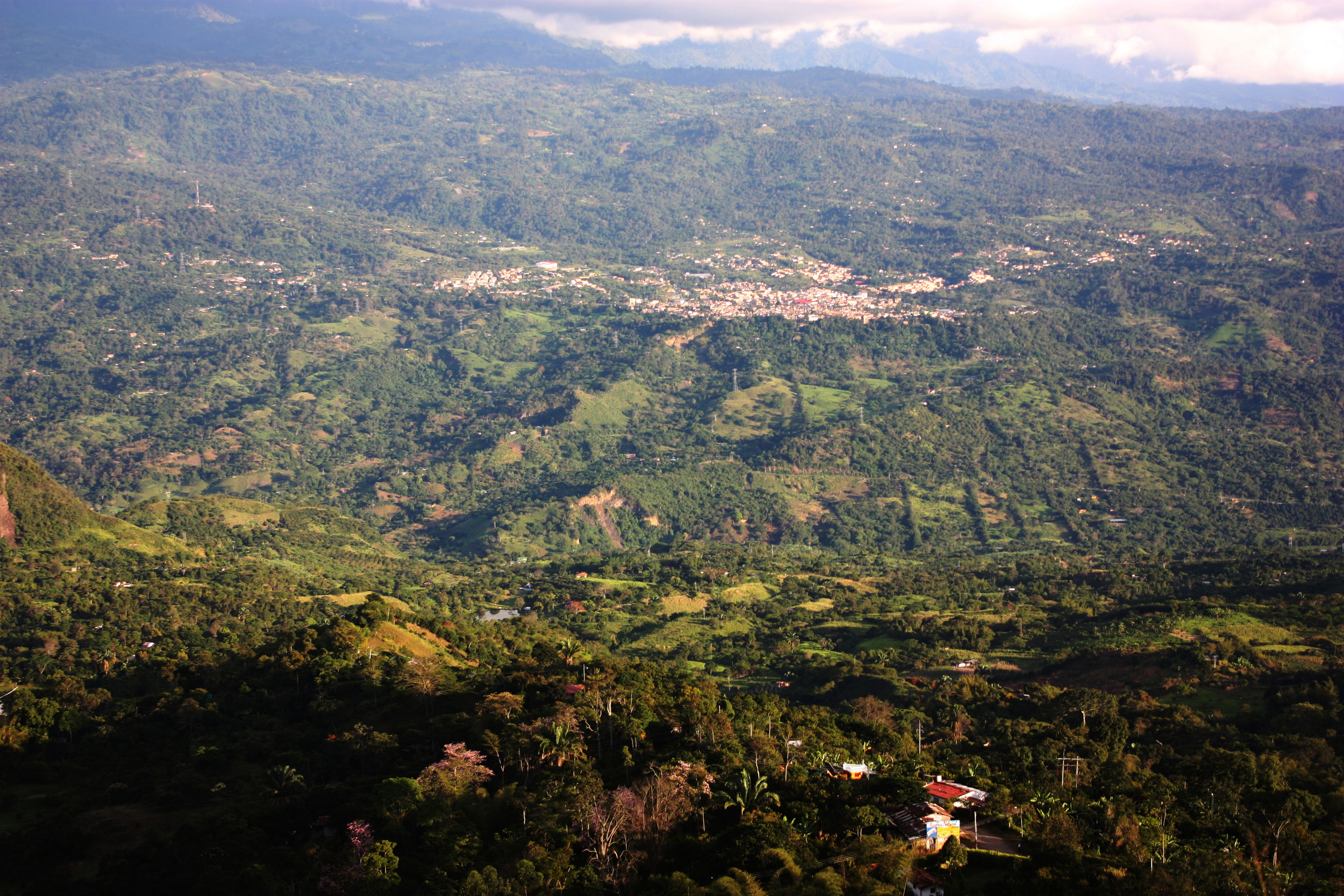 Zona cafetera de Cundinamarca, por Nicolás Osorio Cuesta