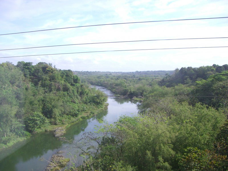 Plantaciones de azúcar, por marimar