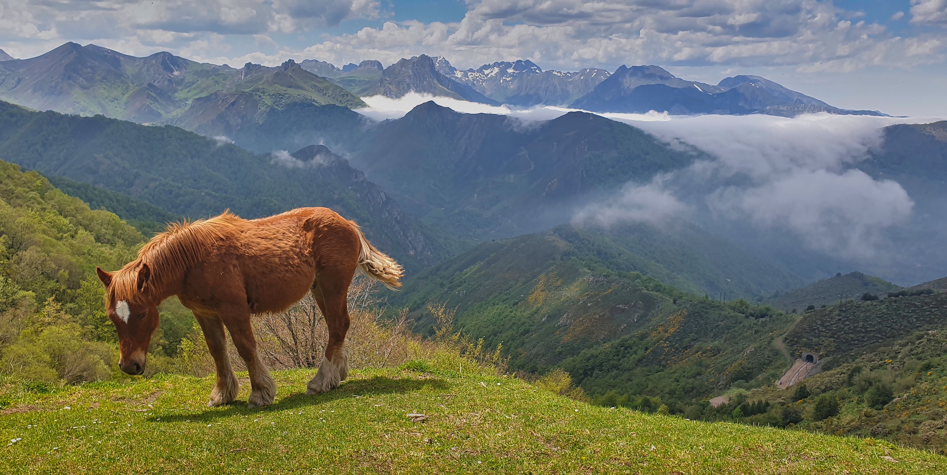 Puerto de Pajares y Mirador de la Flor de Acebos, por Rafael Vilches