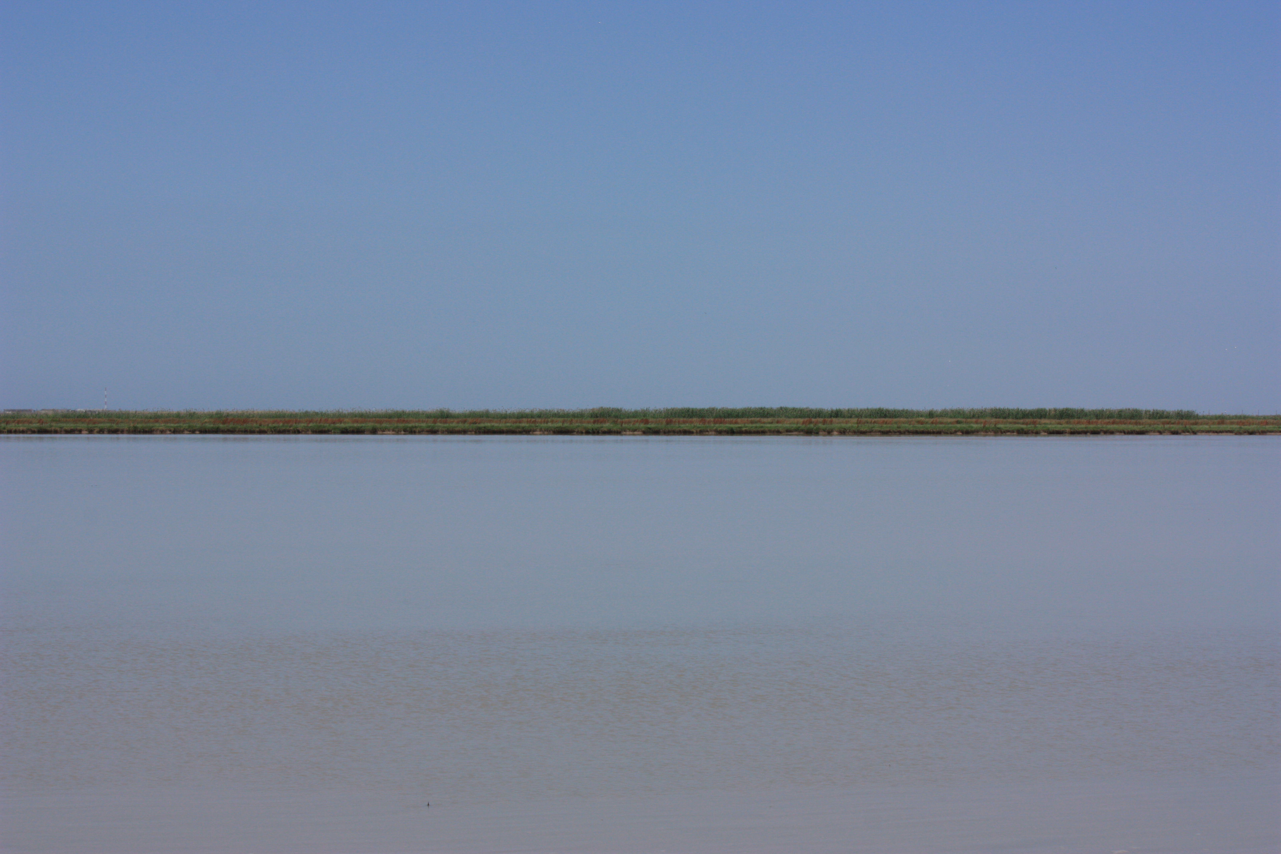 Bajo Guadalquivir, por Joaquin Diaz Martinez