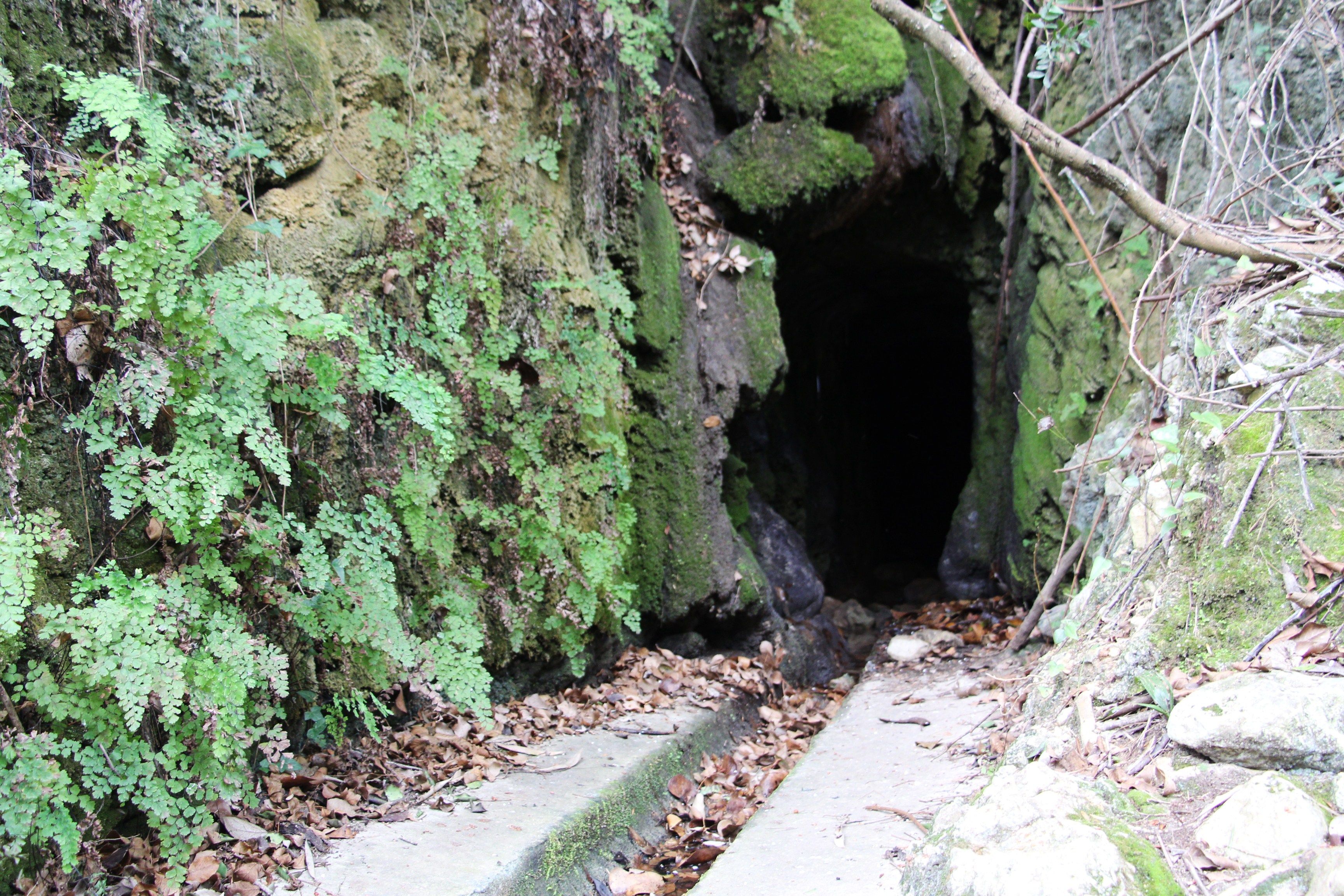 Ruta La Font de Lloret, por macmuseo