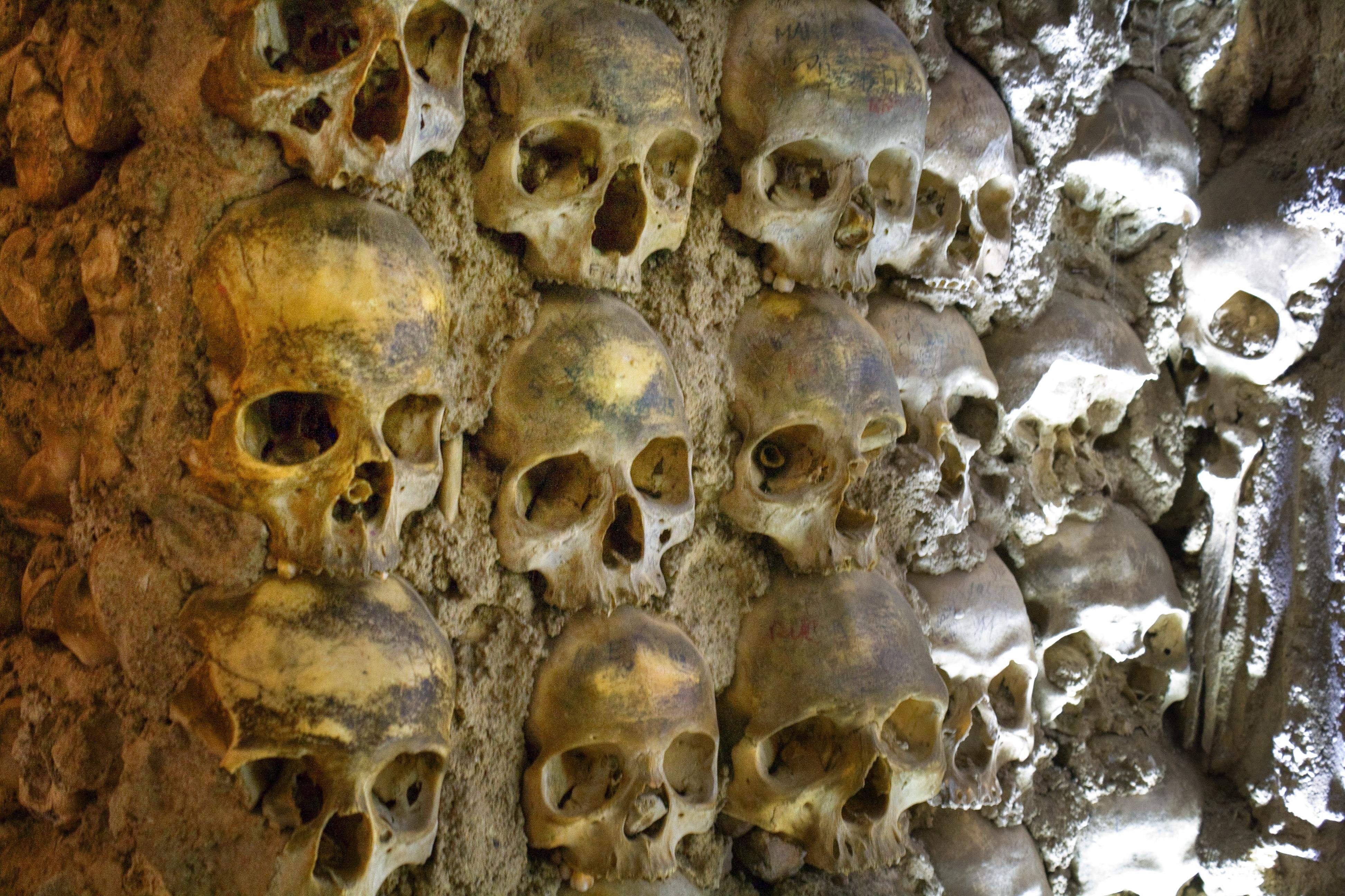Capilla de los Huesos en Évora: 17 opiniones y 85 fotos
