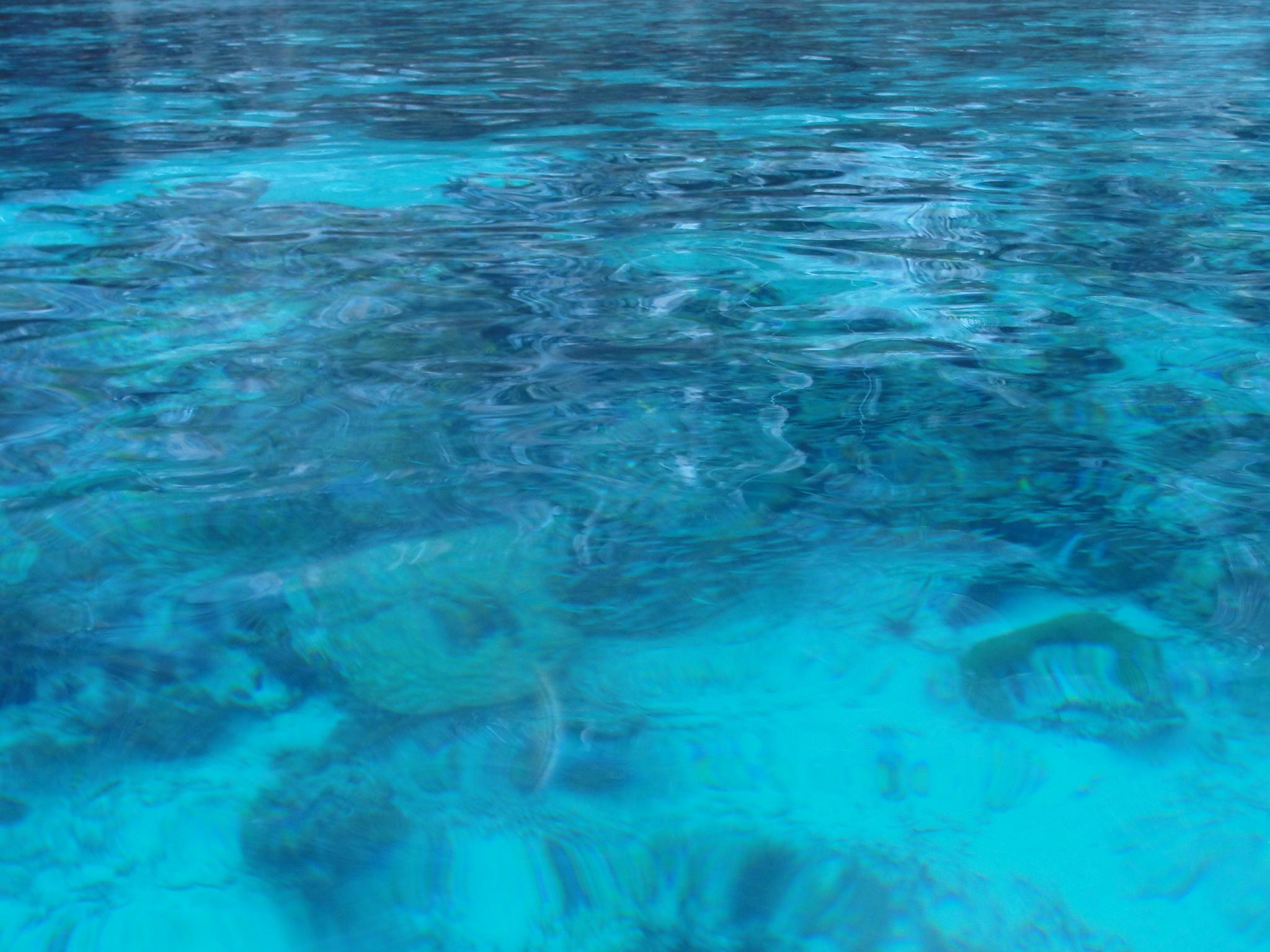 Snorkeling en Maya Bay, por Fernanda C. de Souza