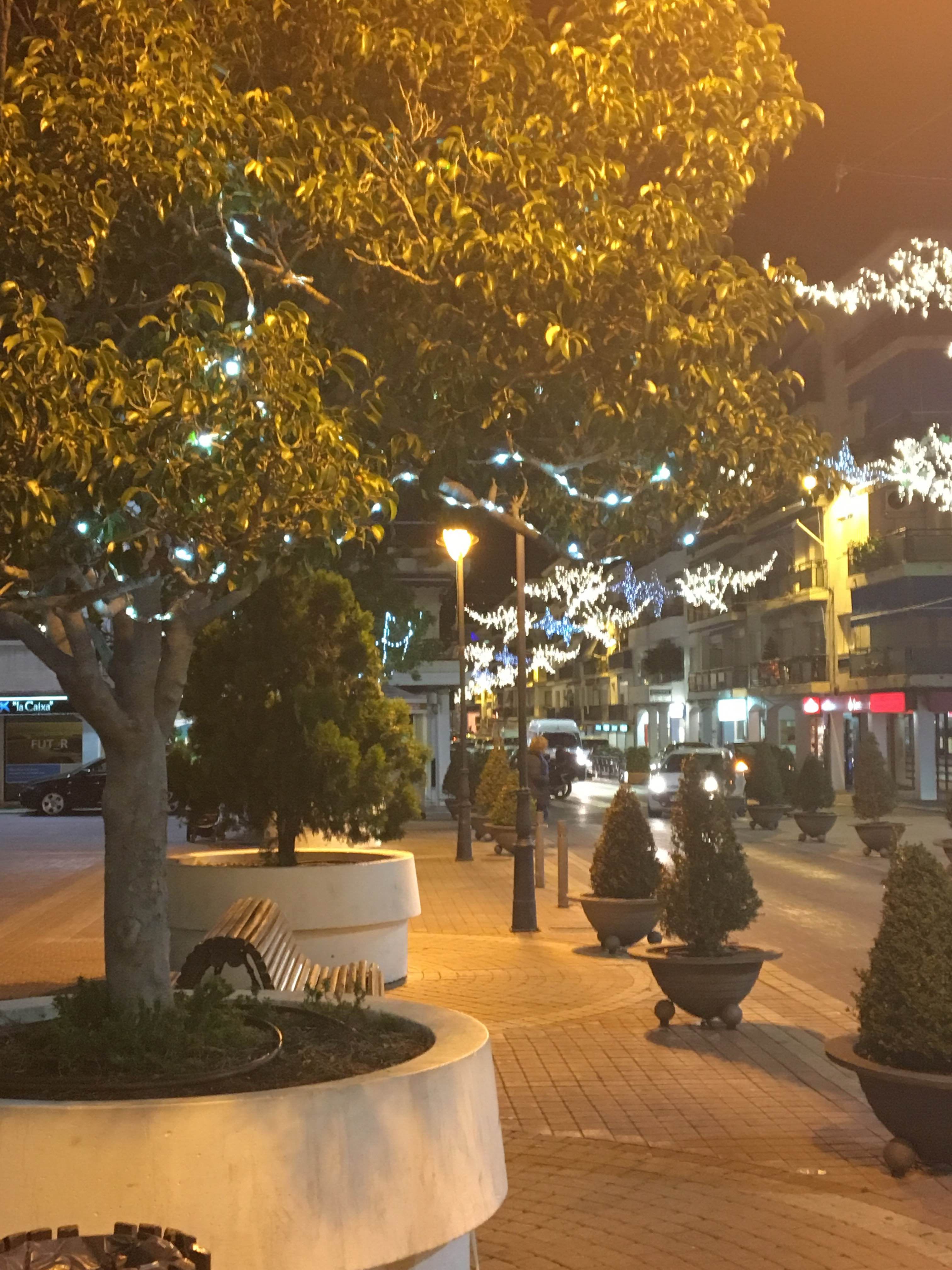 Avenida Rey Jaime I, por Vicenta Zaragozi Sendra