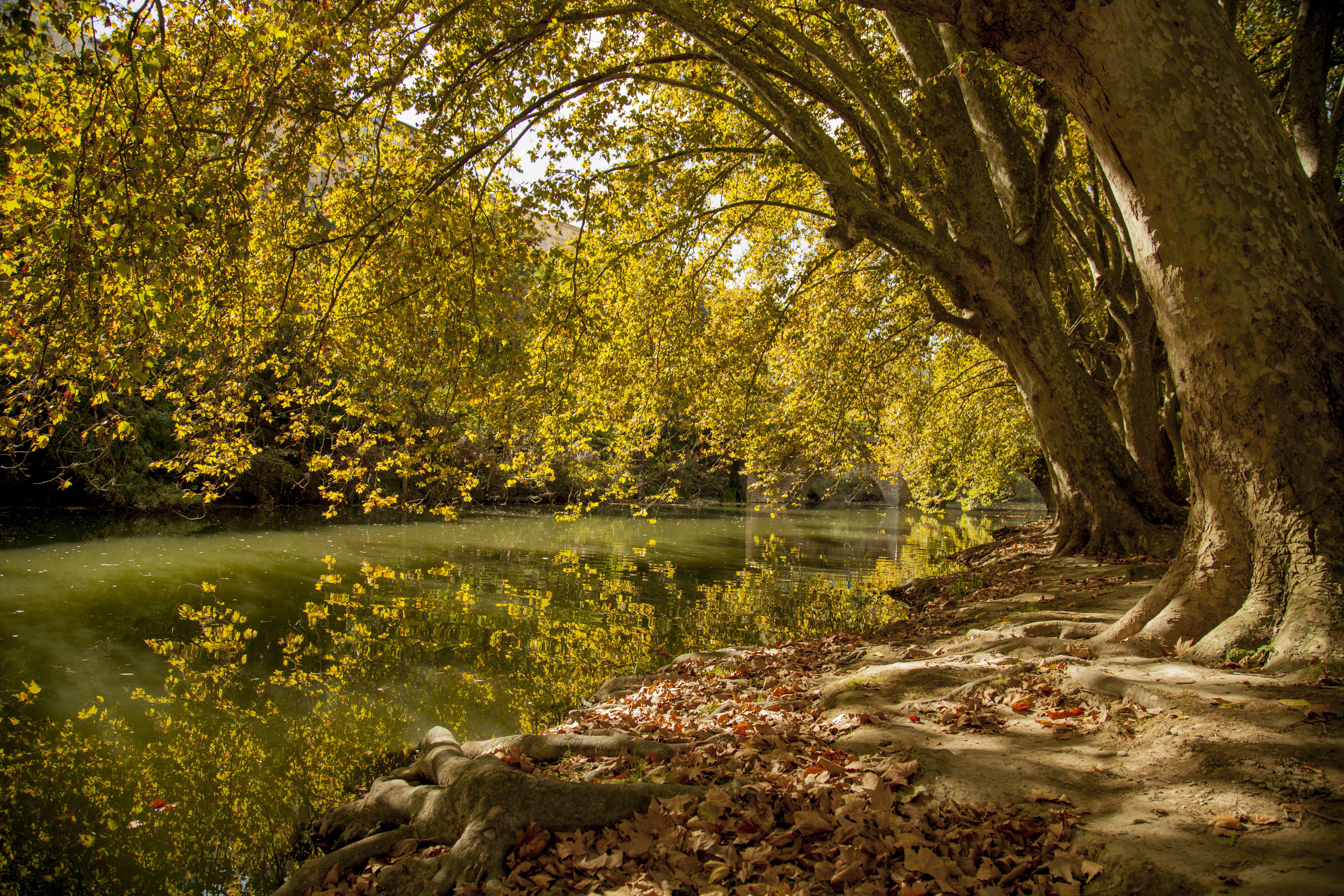 Puente La Rotxapea, por Christian Maria