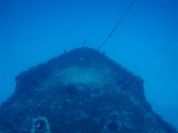 Buceo en Playa del Carmen, por Javier Alcazar