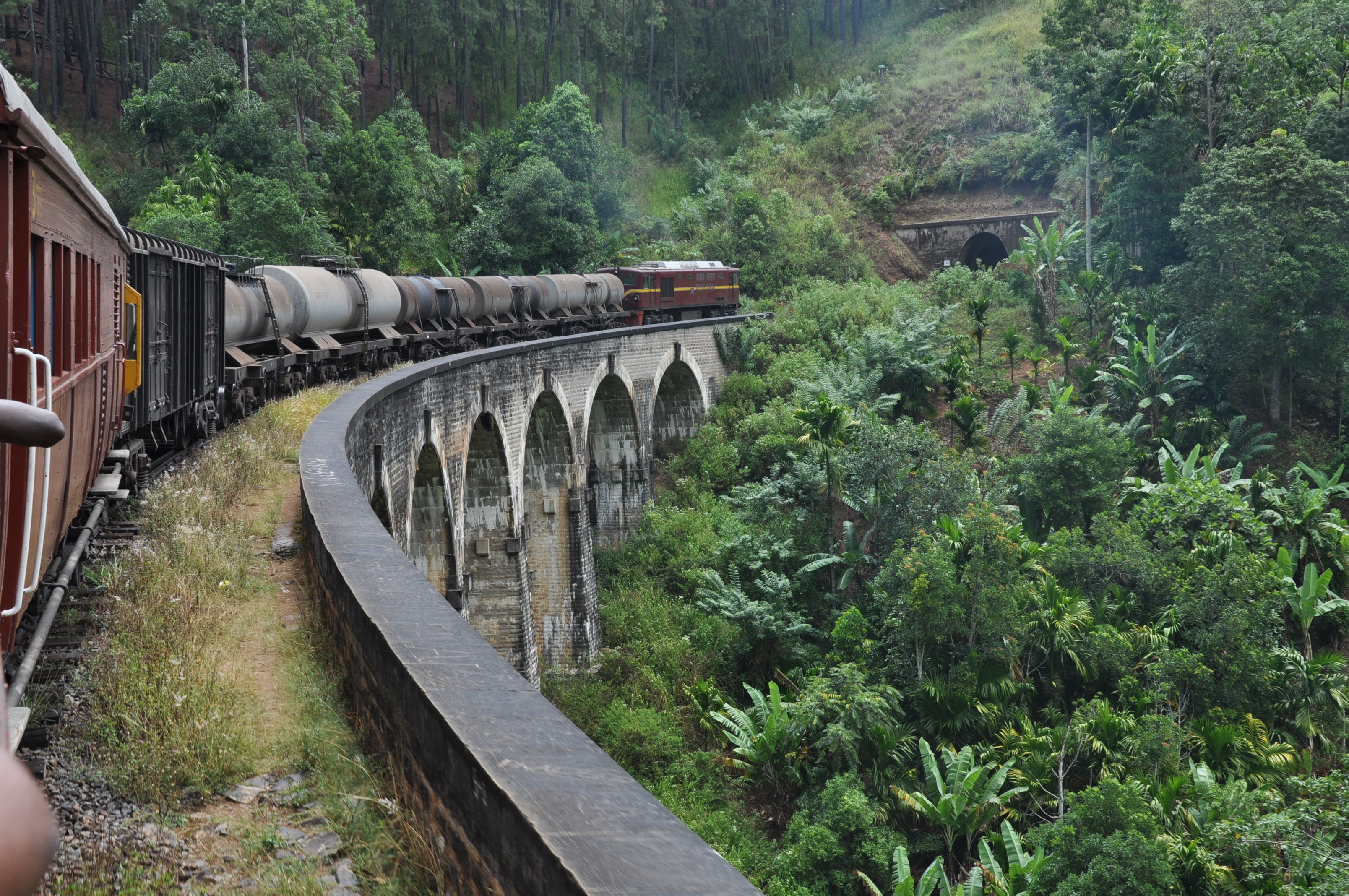 Tren de la Selva, por paulinette