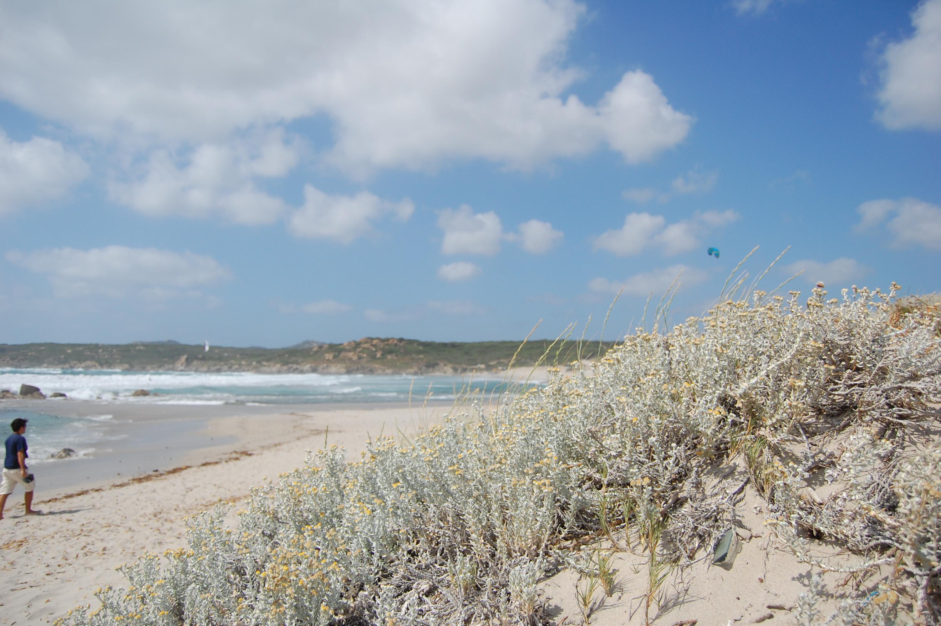 Playa lu litarroni, por fab