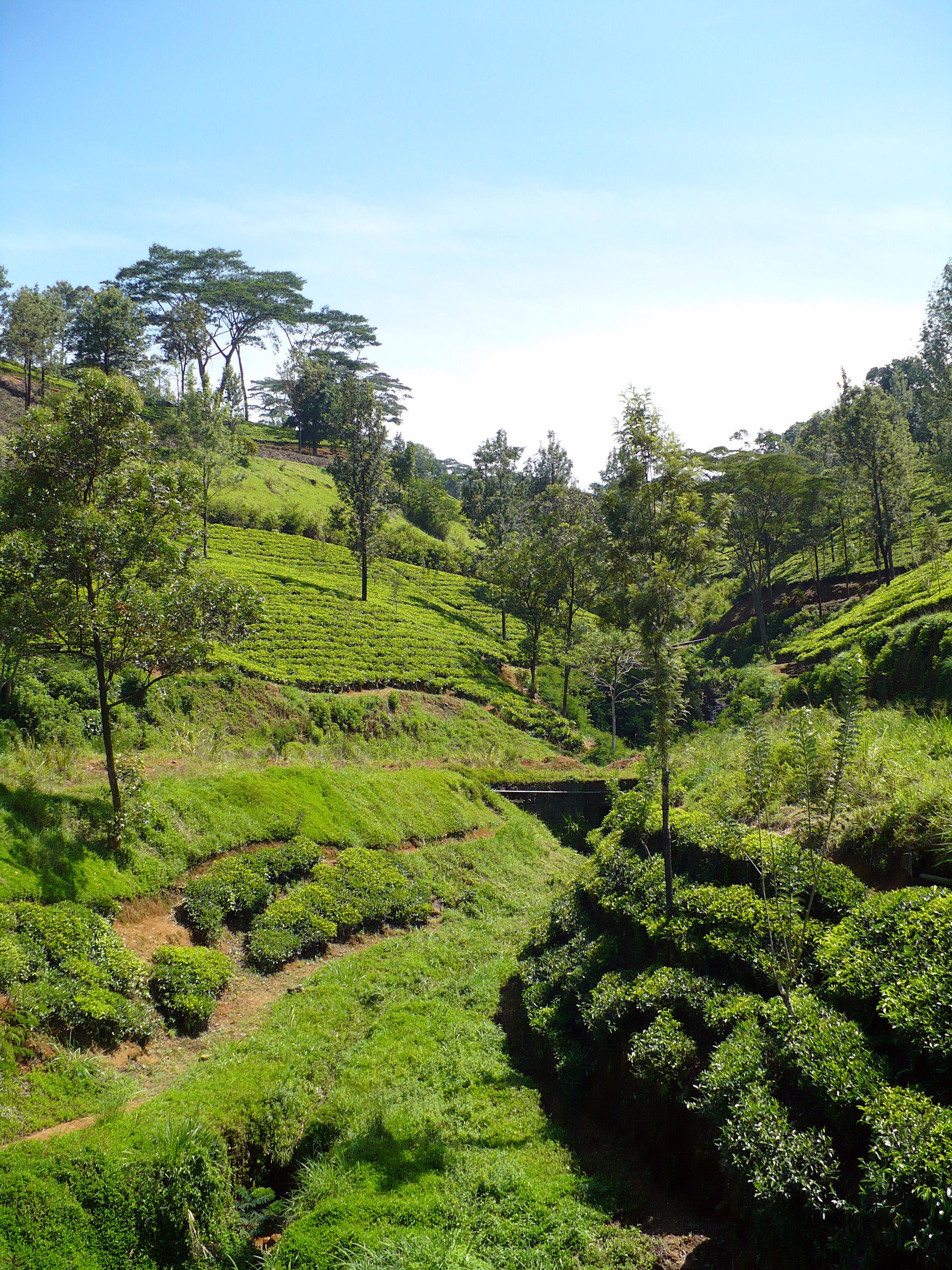 Kandy a Nuwara Eliya, por chris40