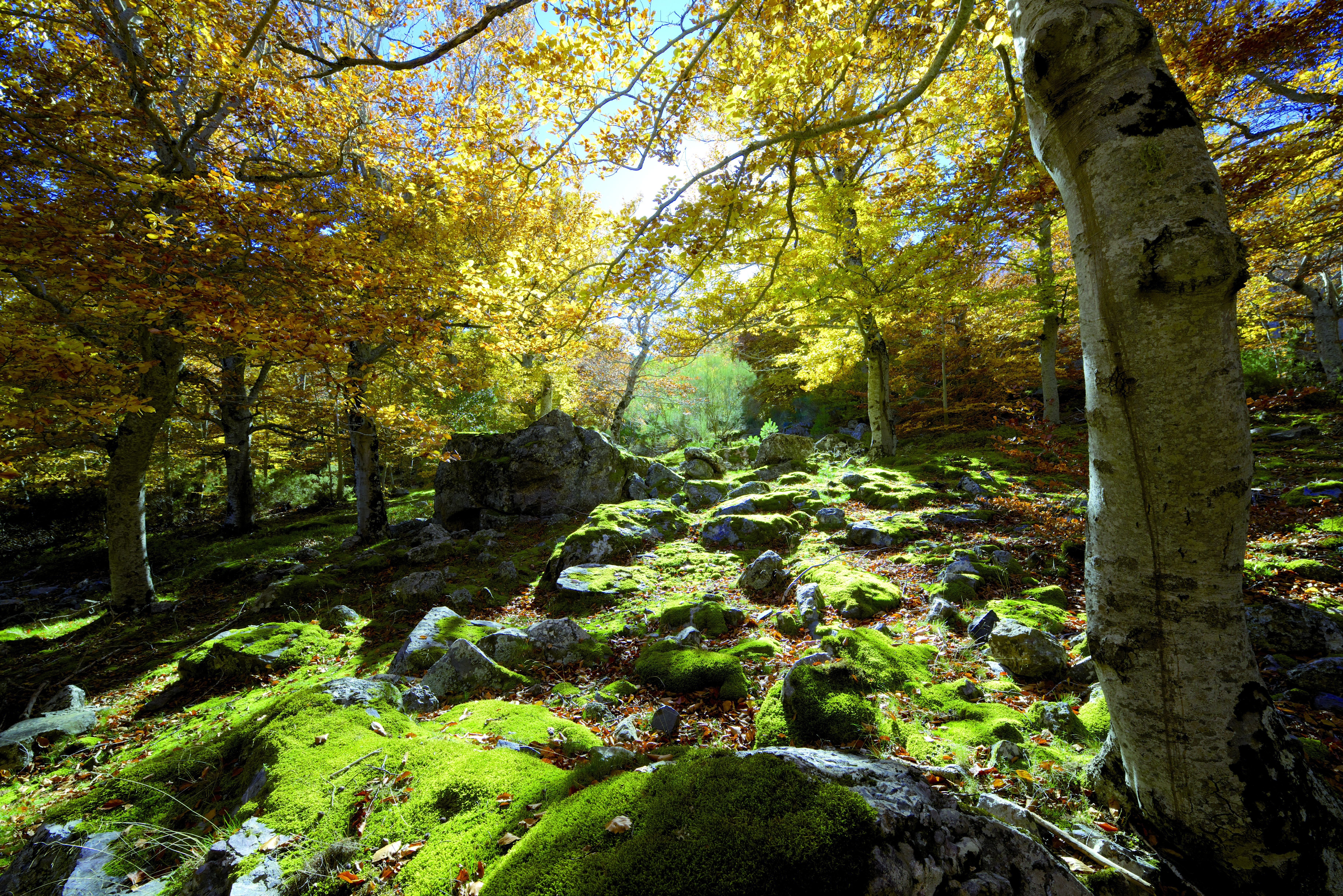 Reservas naturales en Zaragoza: descubre paisajes que asombran