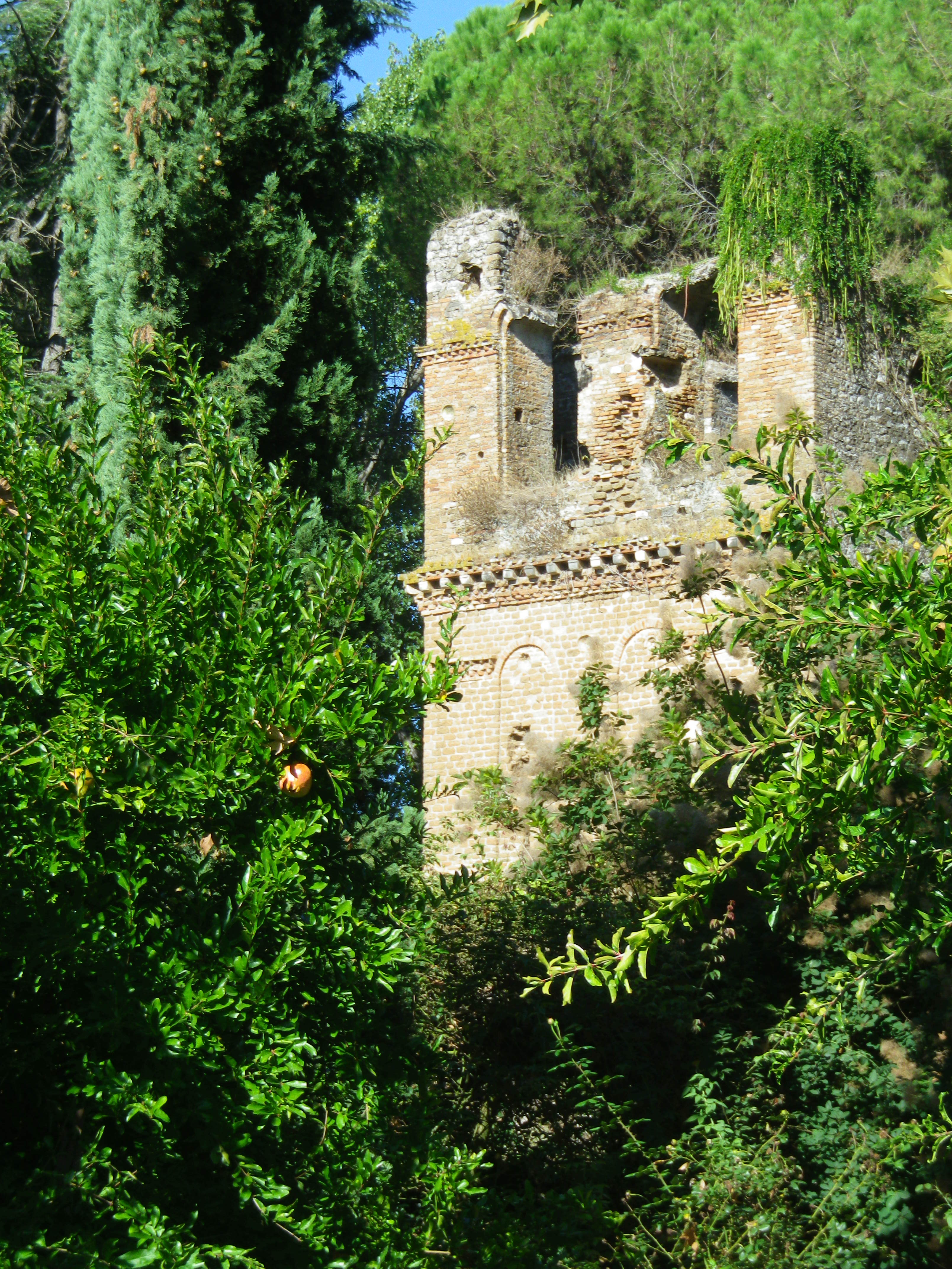 Giardino di Ninfa, por cinzia d'agostino