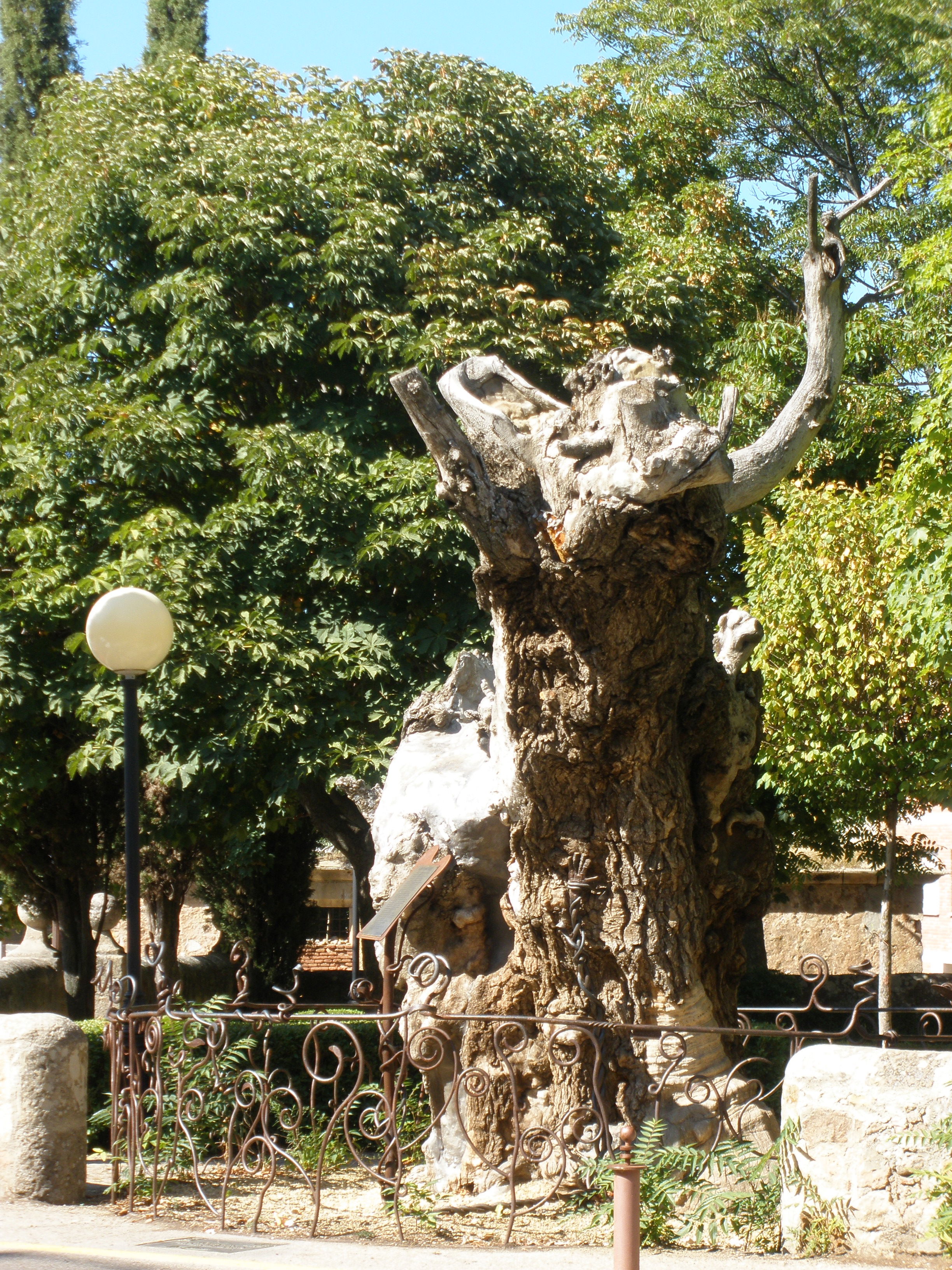 Fin de semana en Soria, el Duero a nuestros pies