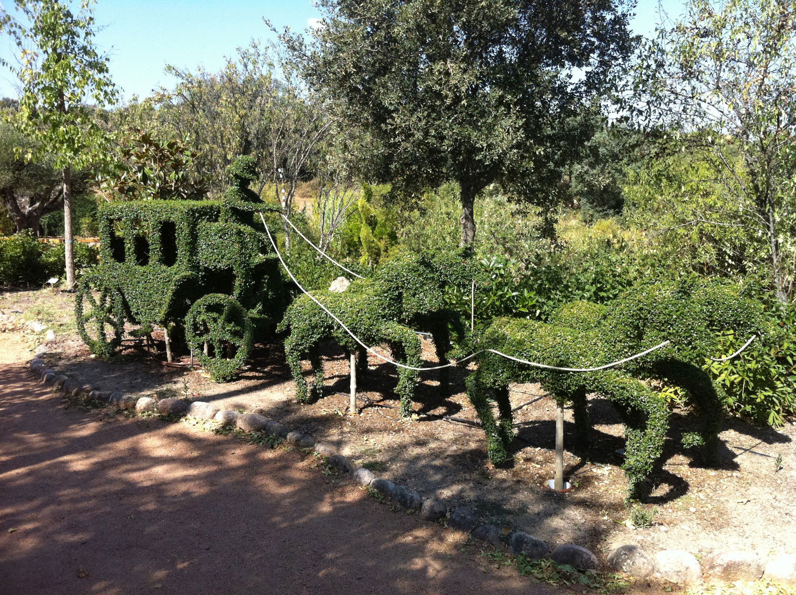 El Bosque Encantado, por salcon