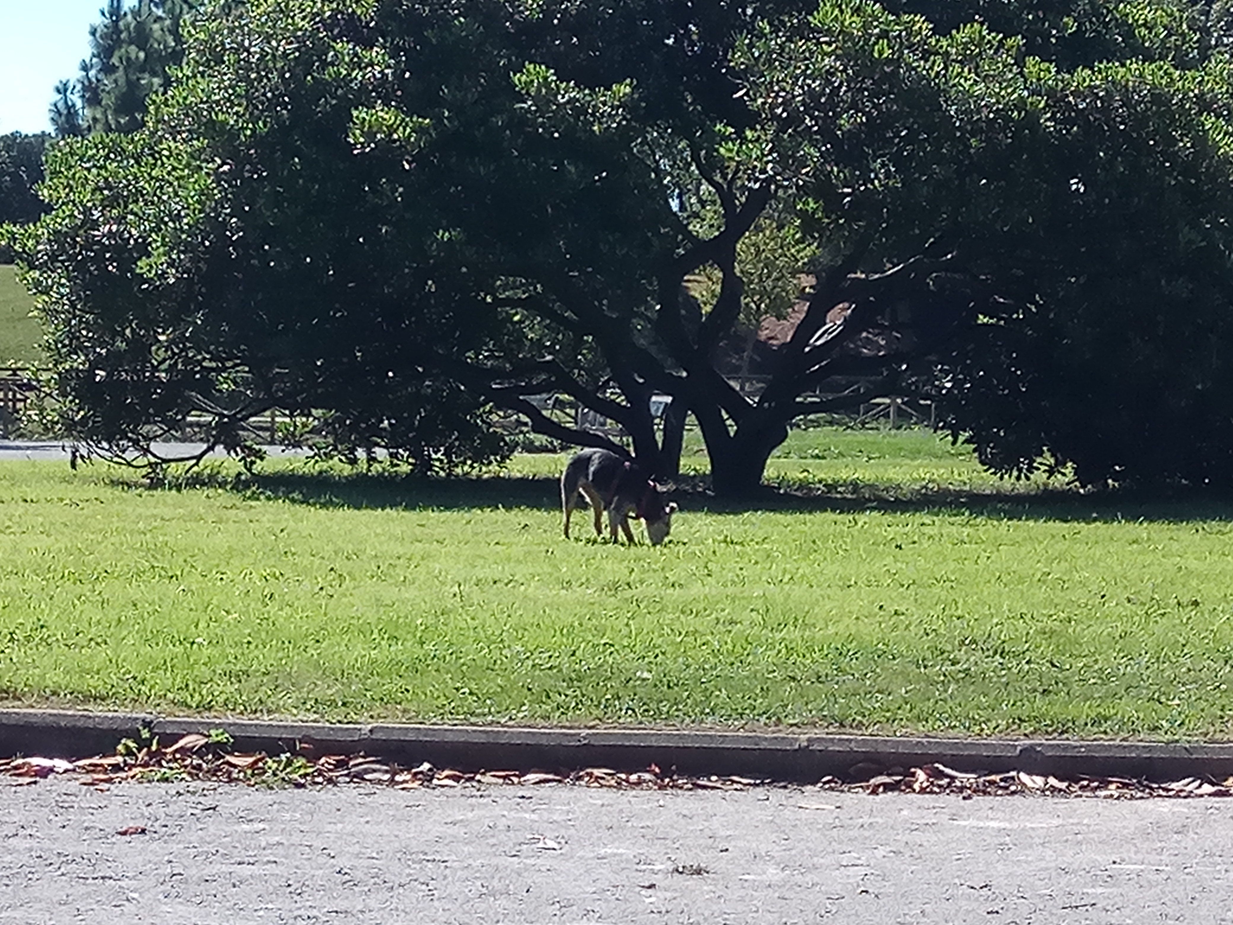 Parque de Moreda, por vanessa cascales fernandez
