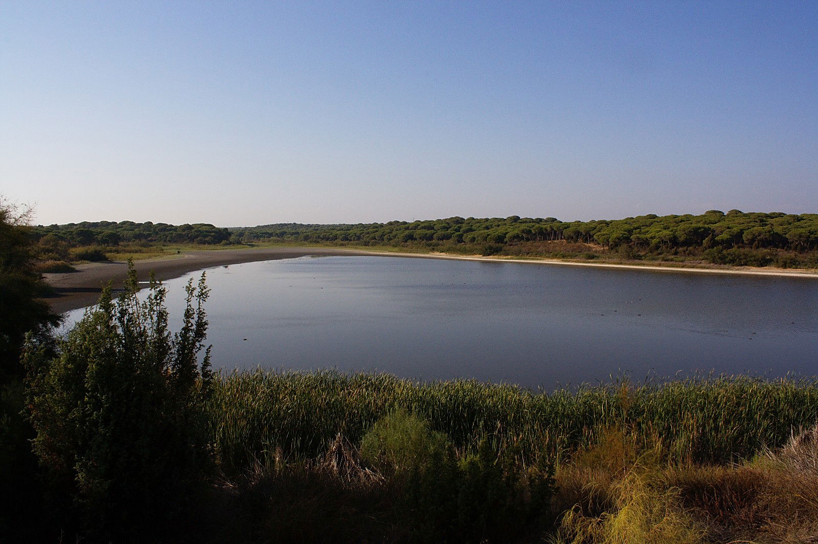 Laguna de El Portil, por Luis Martinez