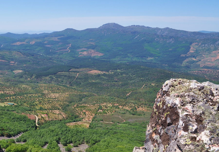 Sendero Internacional de los Apalaches, por miguel a. cartagena