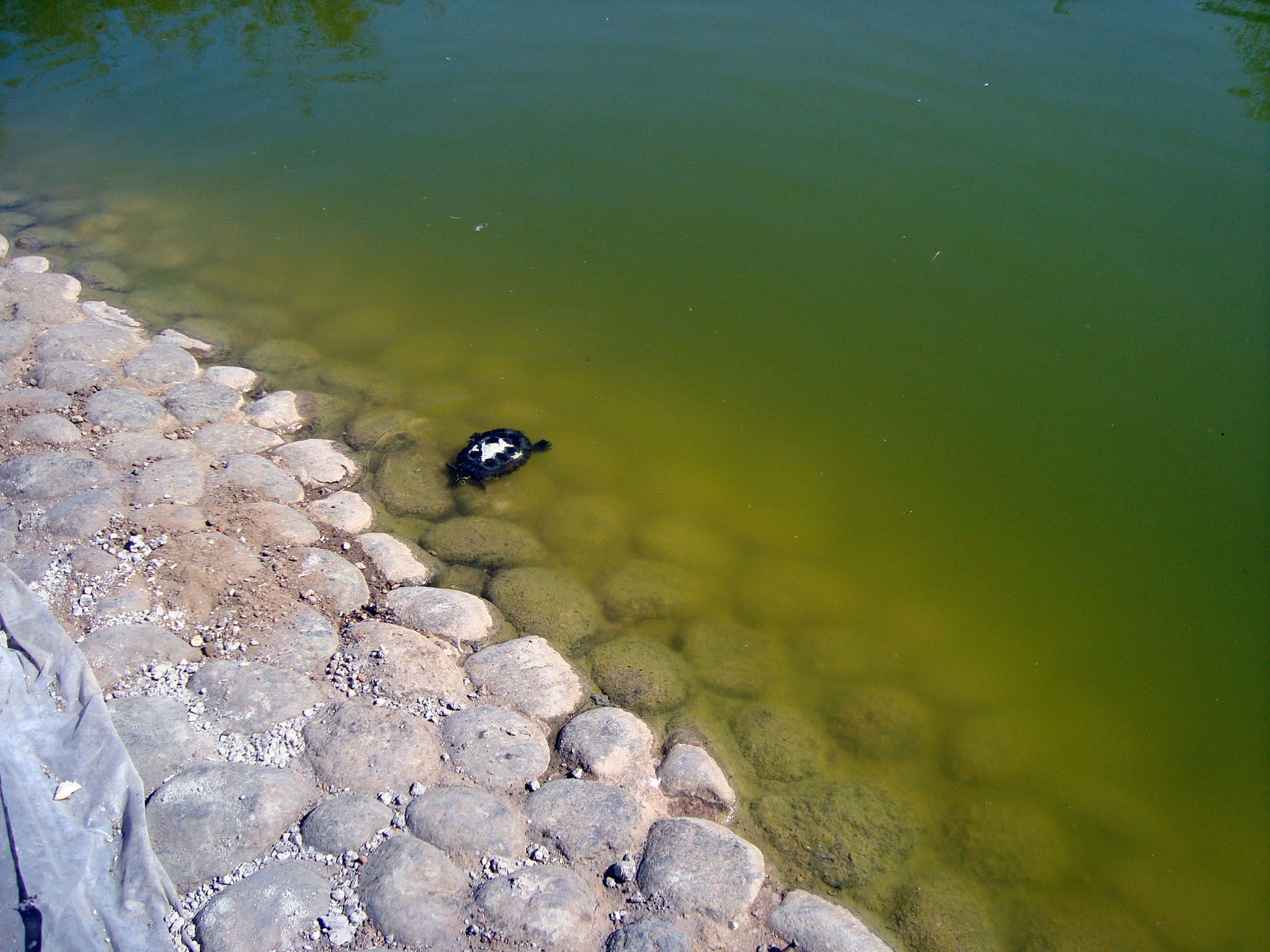 Parque Arroyo de la Represa, por Marta Pilar