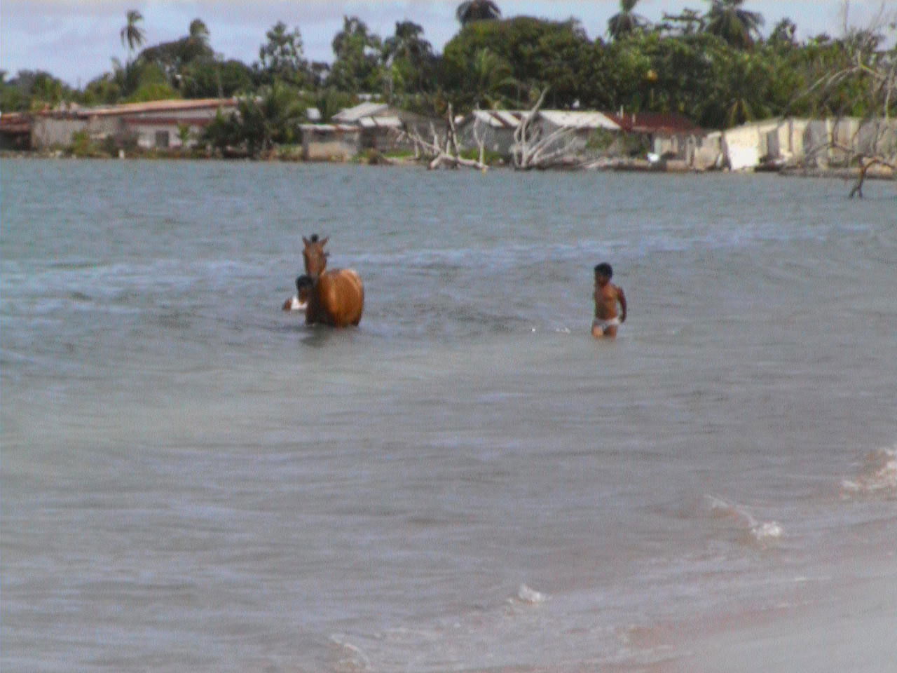 Bocas del Toro, por paulinette