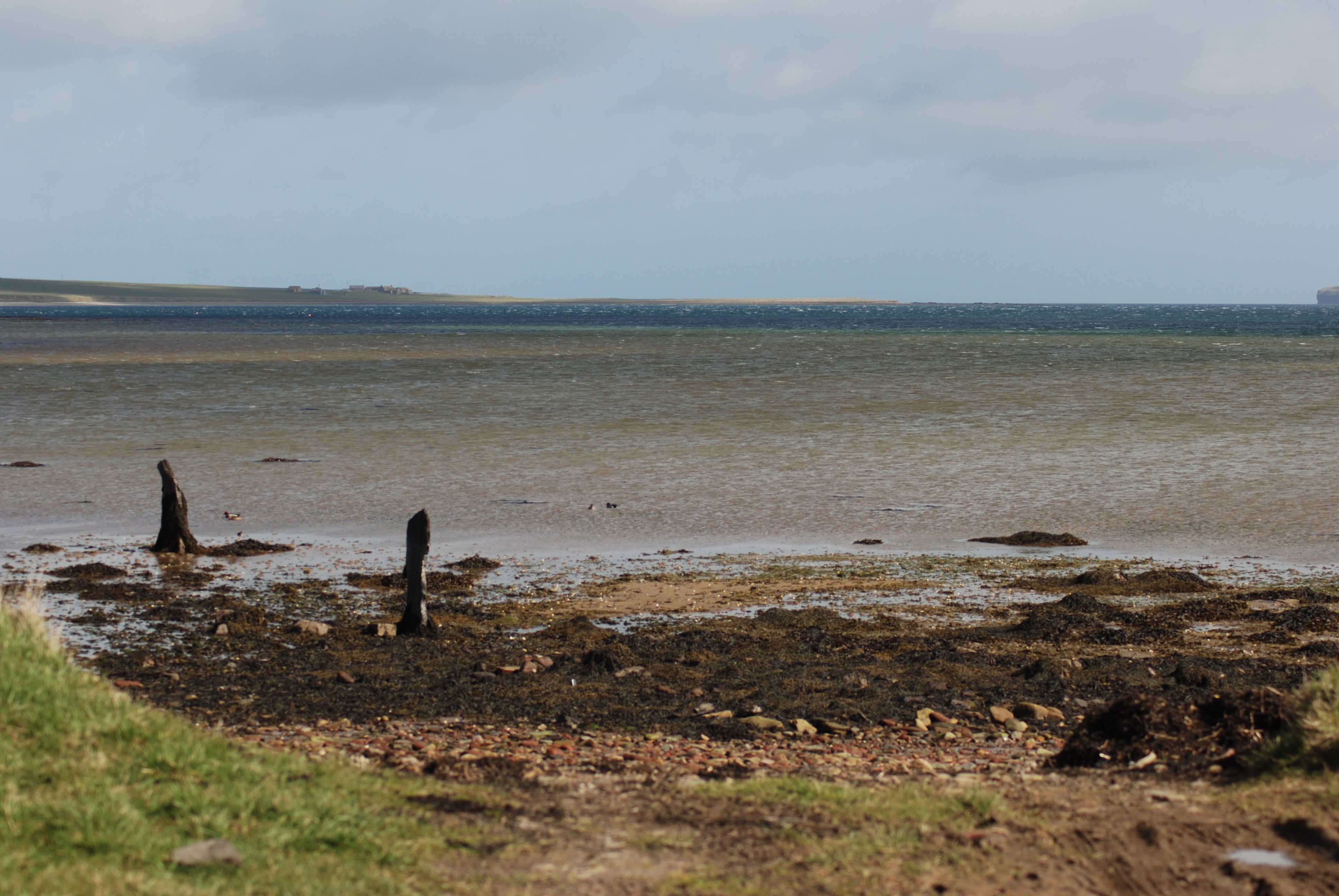 Península de Deerness, por eXplorador Escocés