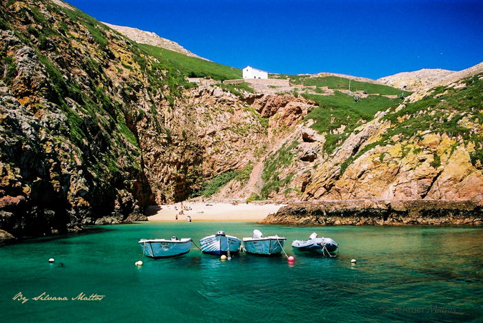 Reserva Natural de las Islas Berlengas, por Silvana Mattos