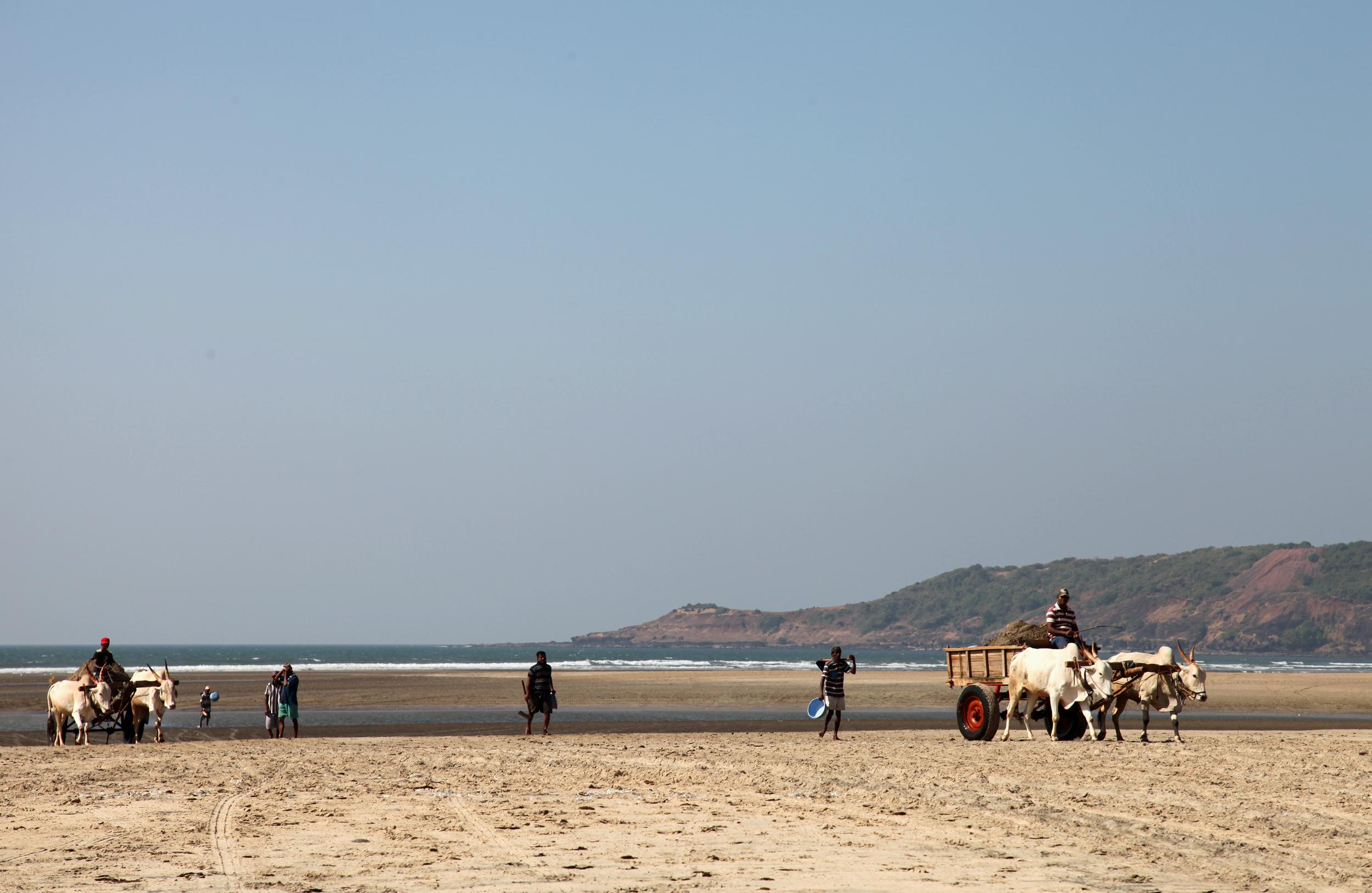 Costa Konkan, por GERARD DECQ