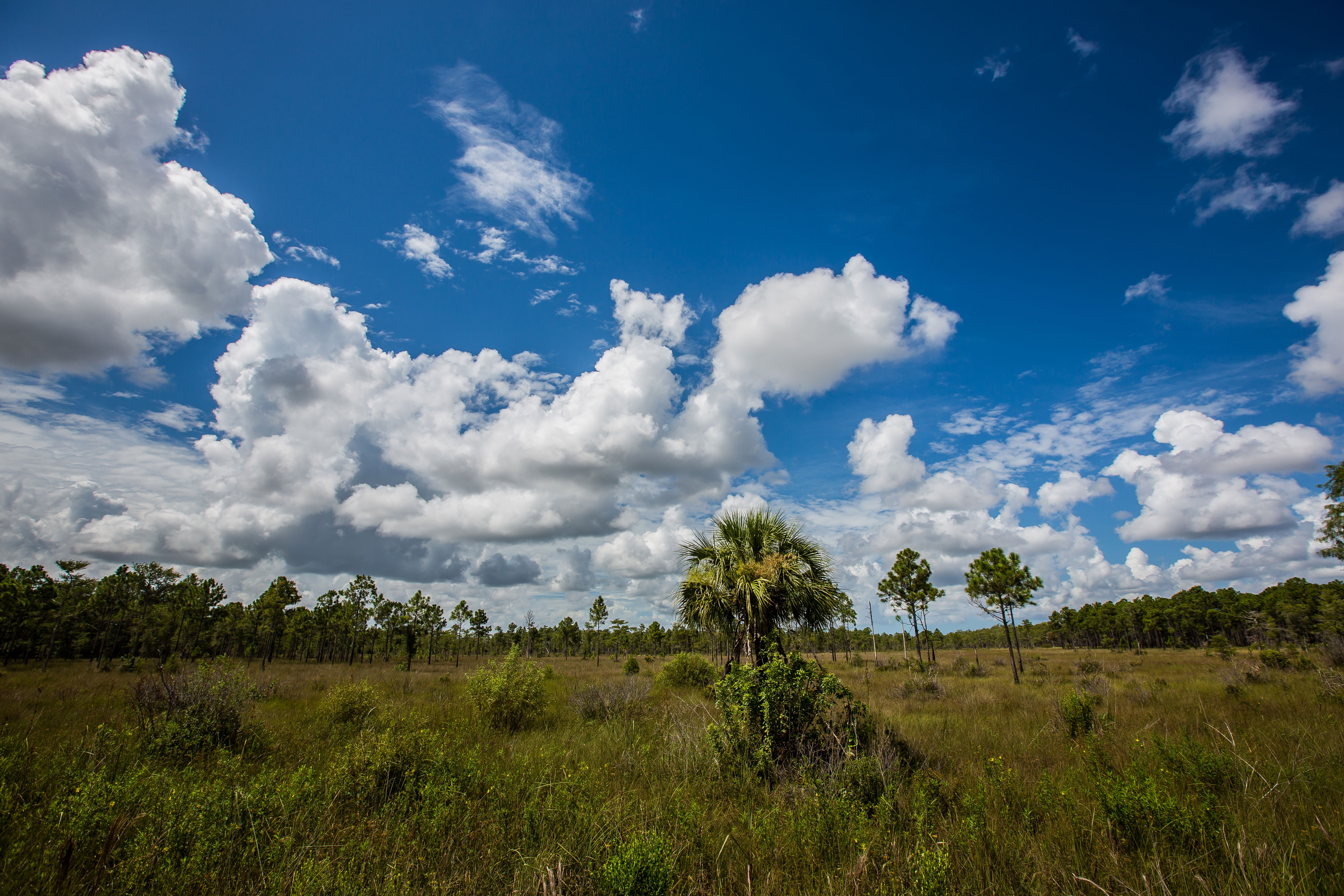 Los mejores zoos y acuarios de Florida