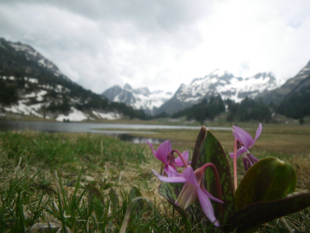 Lago de Pllan D'Estan, por Chema Ramon  Cosialls
