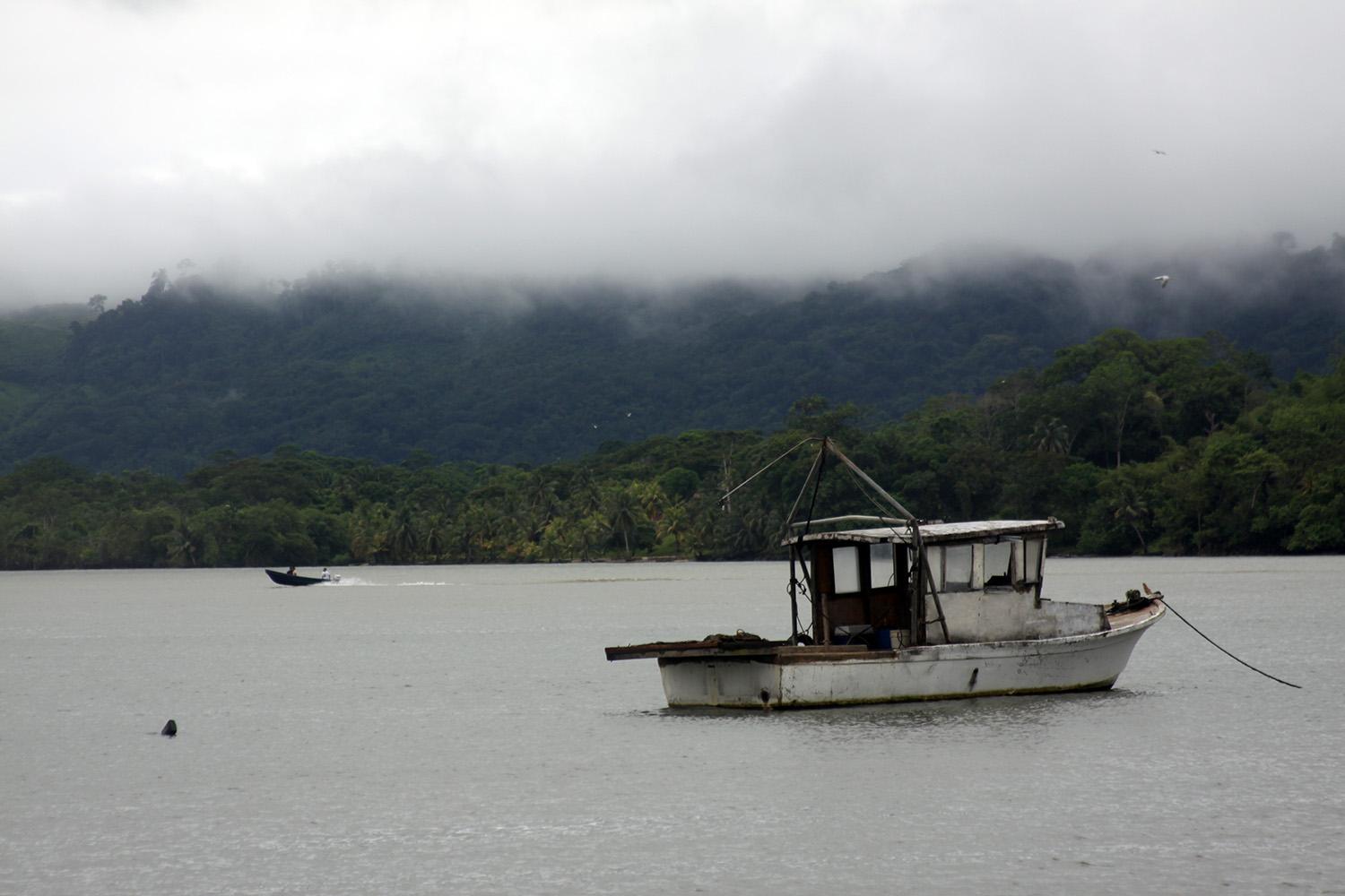 Puerto de Livingston, por Tribi Lin
