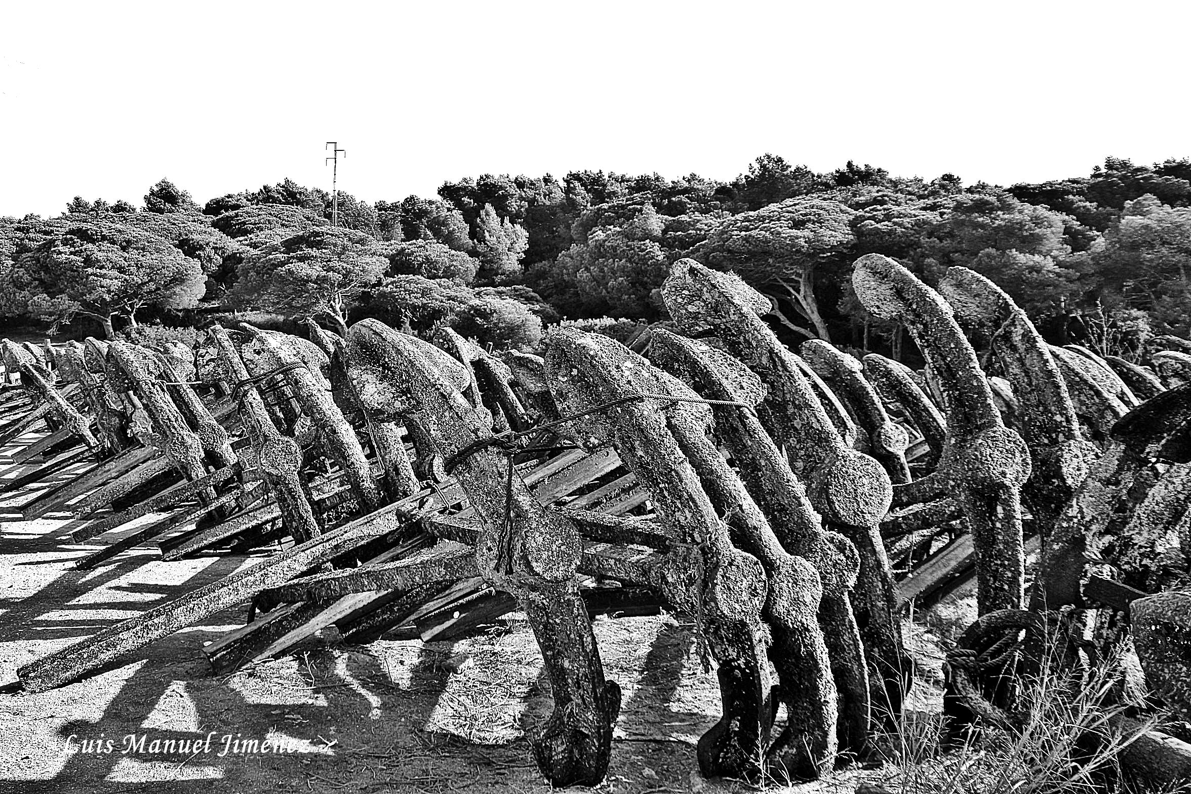 Zona portuaria de Barbate, por Luis Manuel Jimenez Dominguez