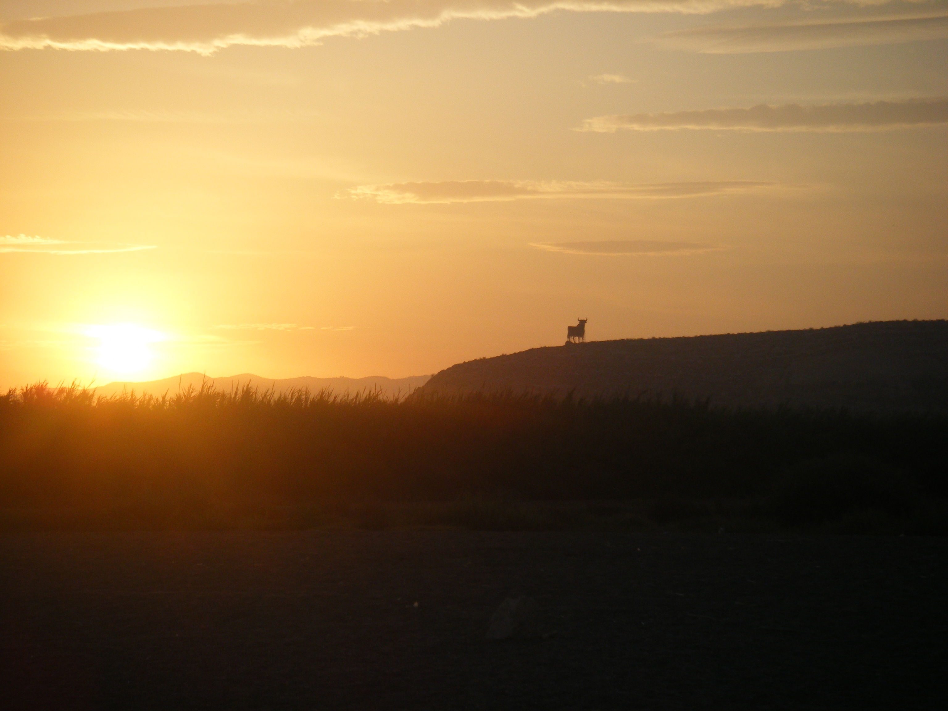 Torre del Mar, por Anna Mancini