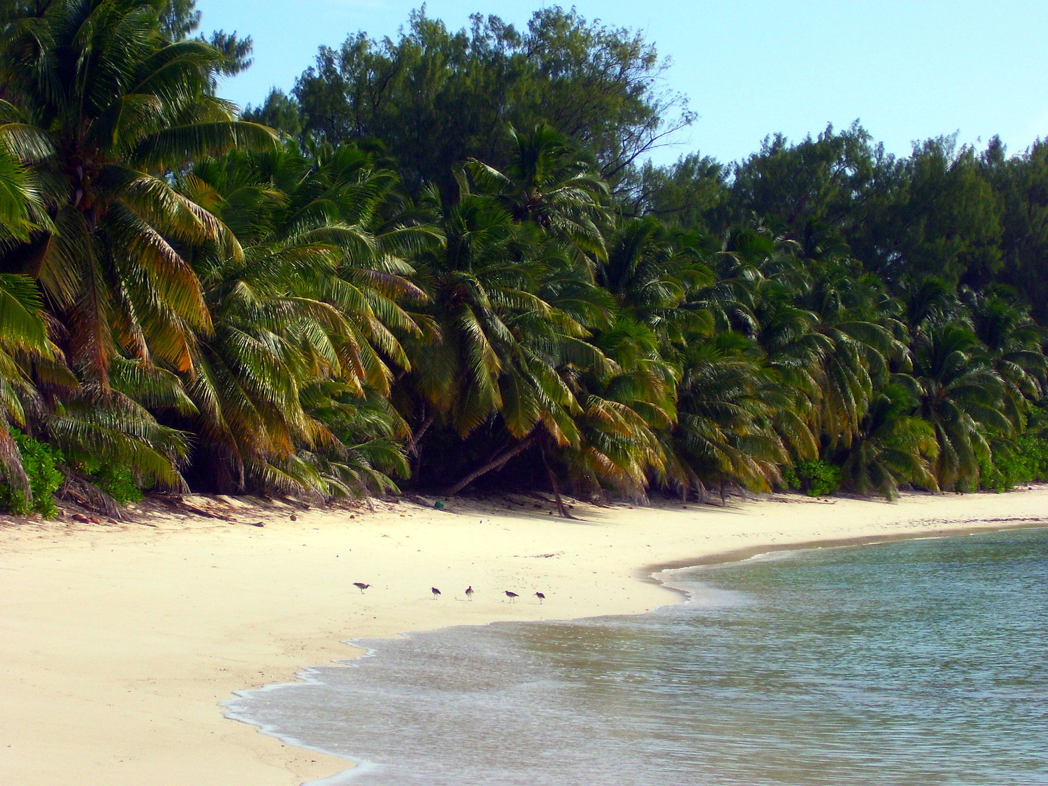 Isla Desroches, por ludovic cayre