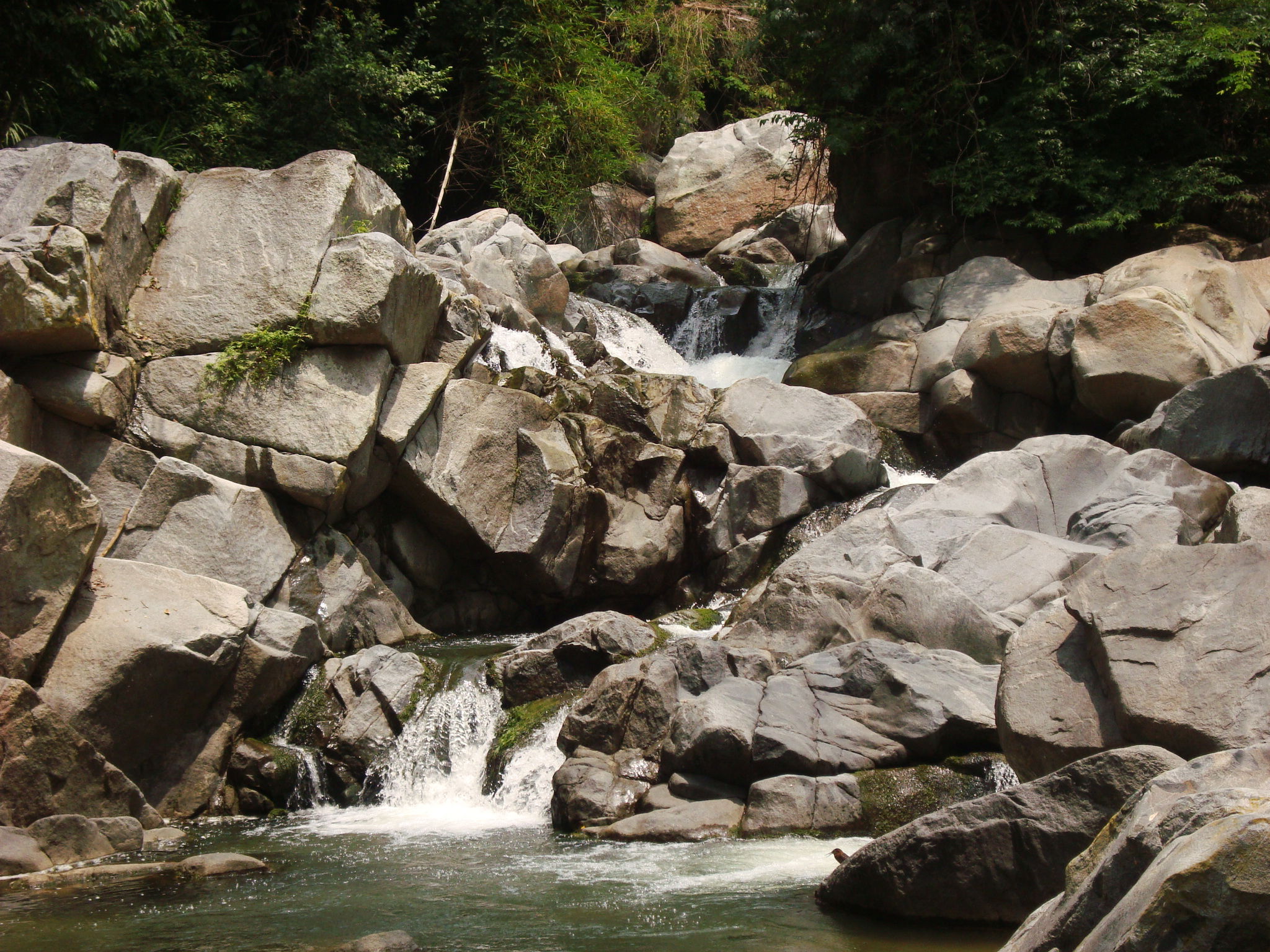 LA POZA "Cascadas de Villa Hidalgo", por Morya