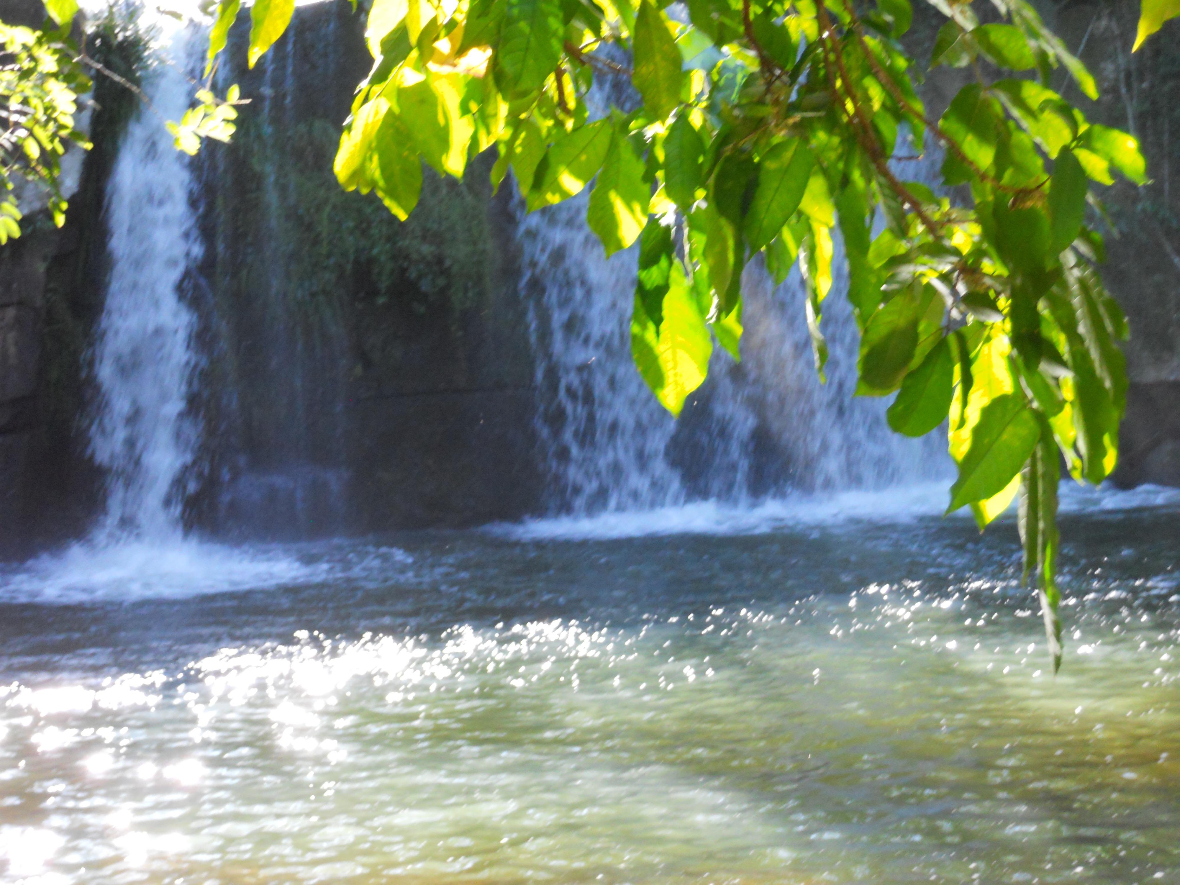 Parque Nacional Ybycui, por Oswaldo Cezare Filho