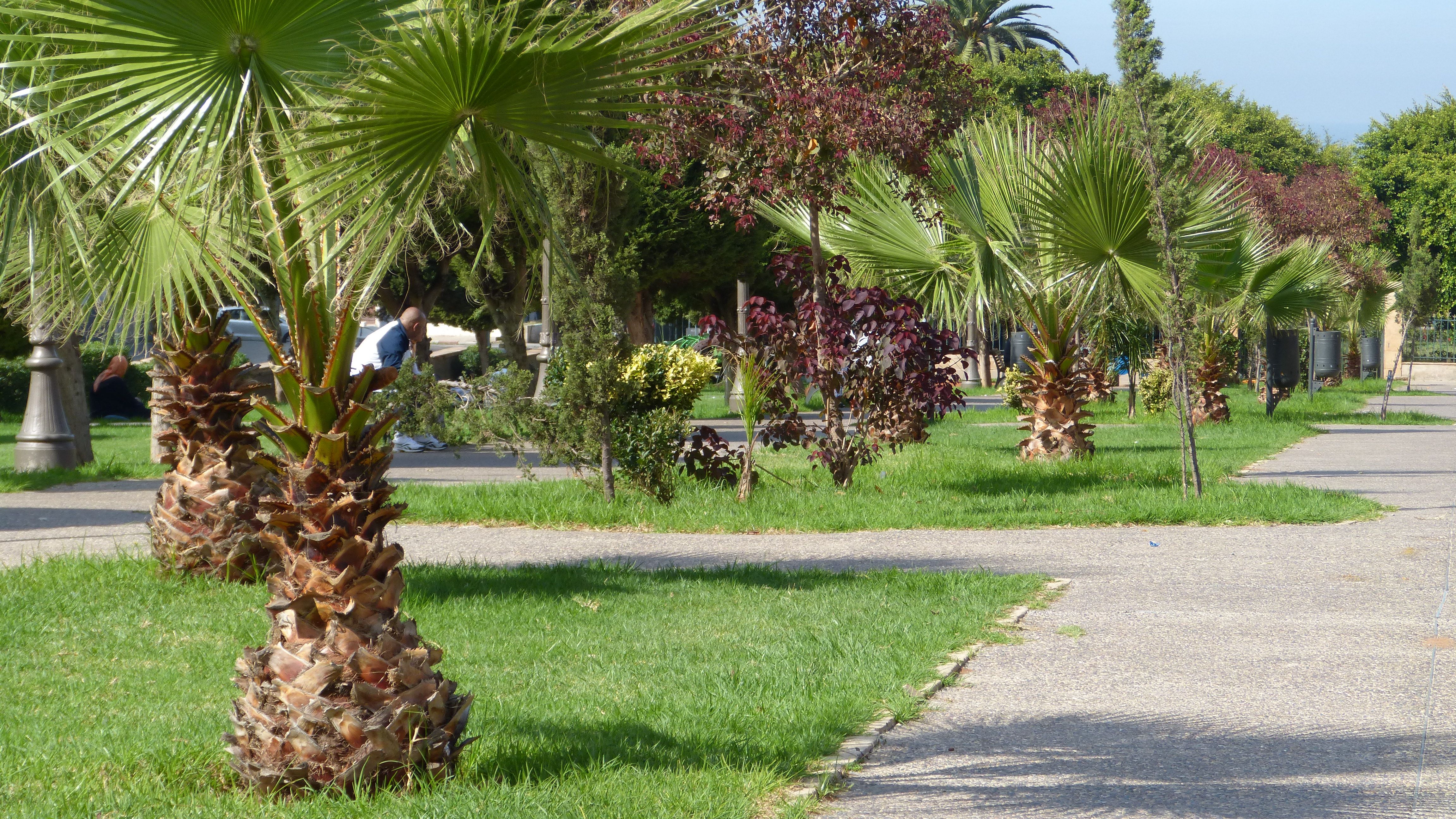 Aire libre en Rabat: descubre sus rincones naturales y jardines encantados