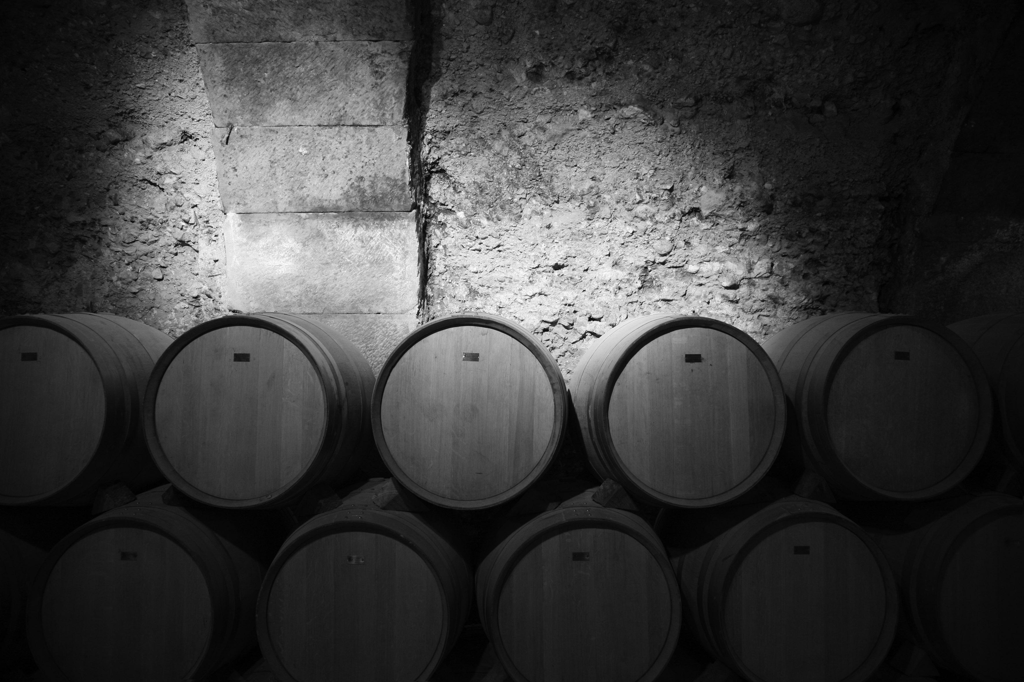 Bodegas Casa Primicia, por El propietario