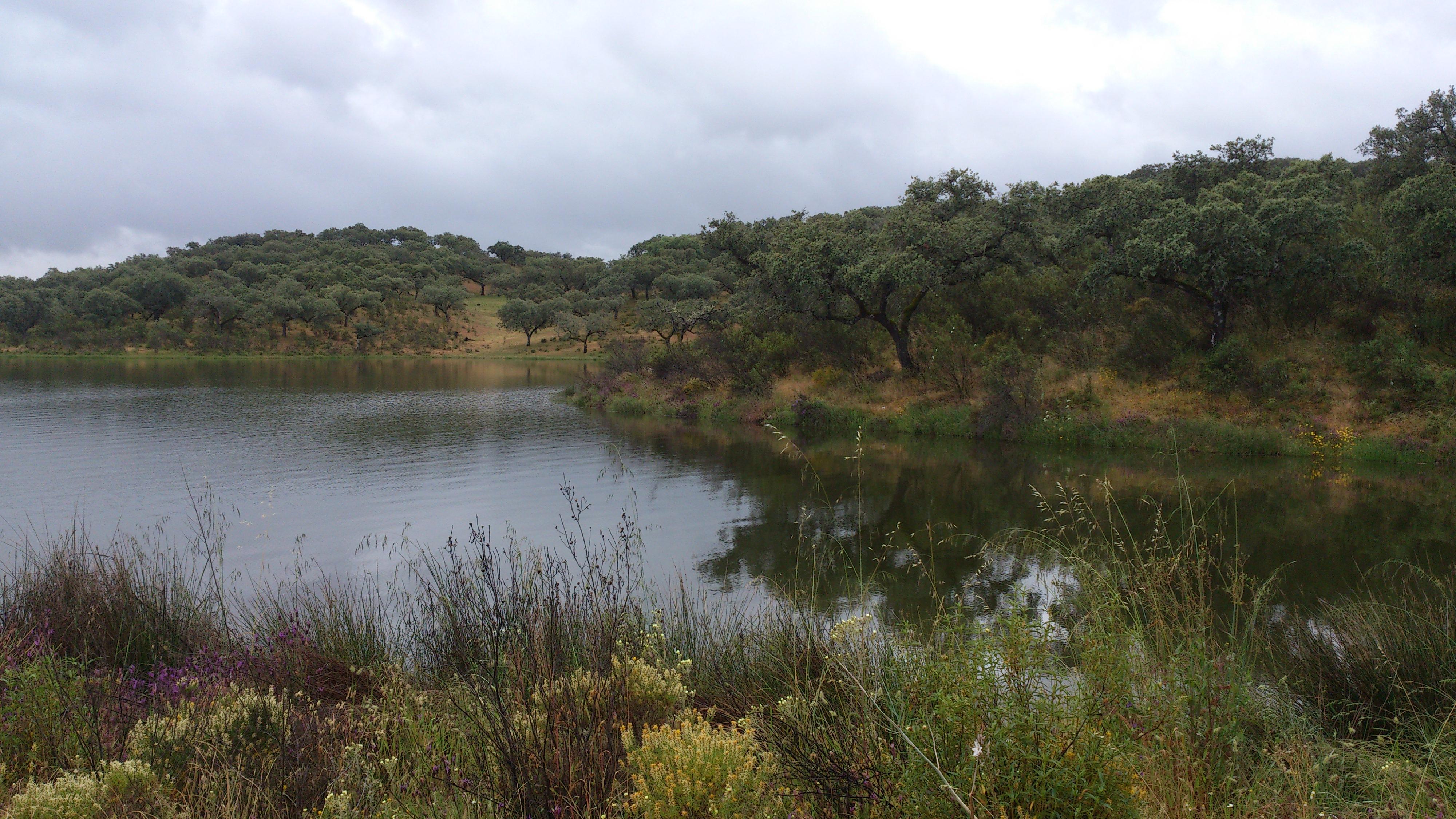 Explorando los maravillosos pantanos de Huelva y sus tesoros ocultos