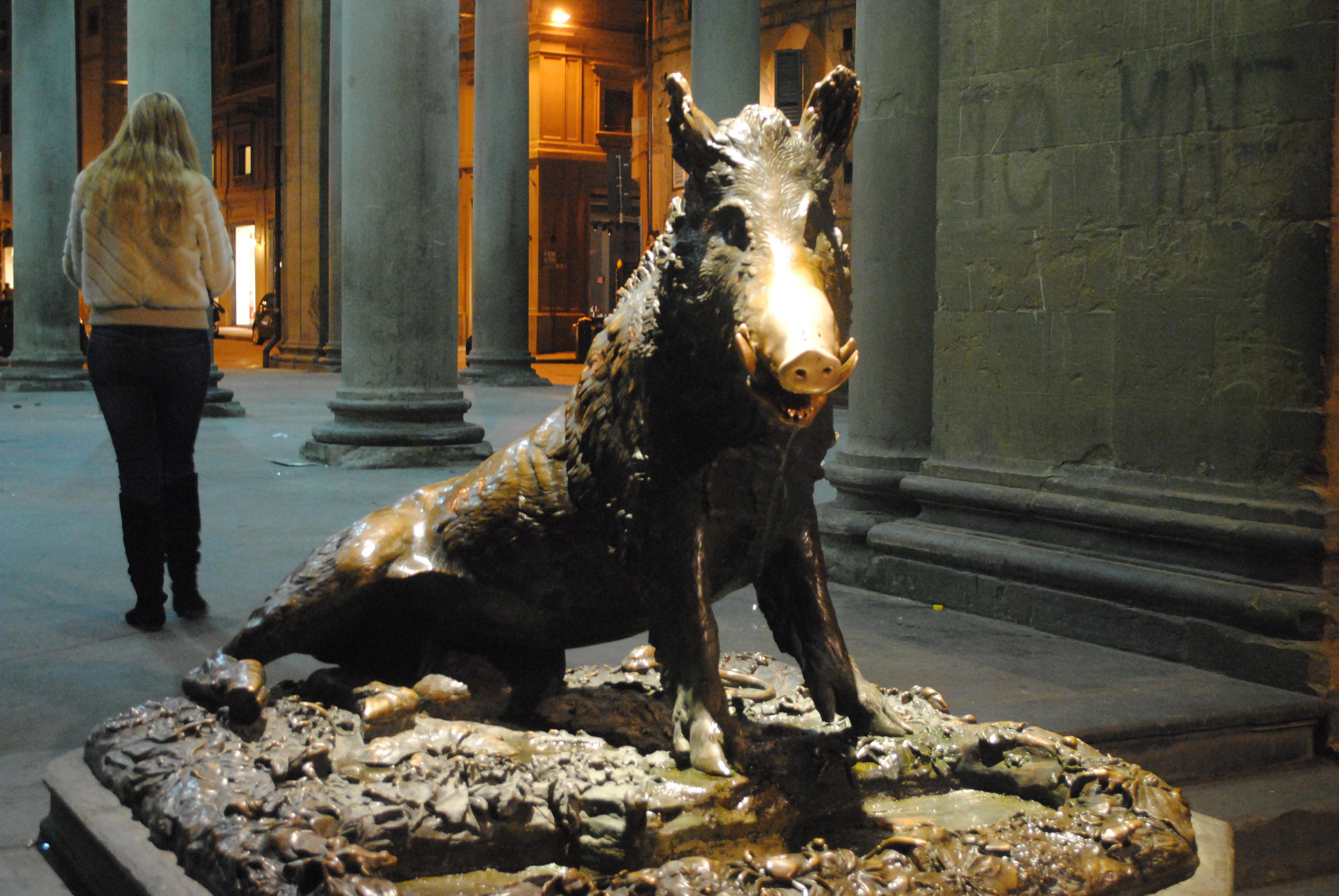 Fontana del Porcellino, por Amelia Tomasicchio
