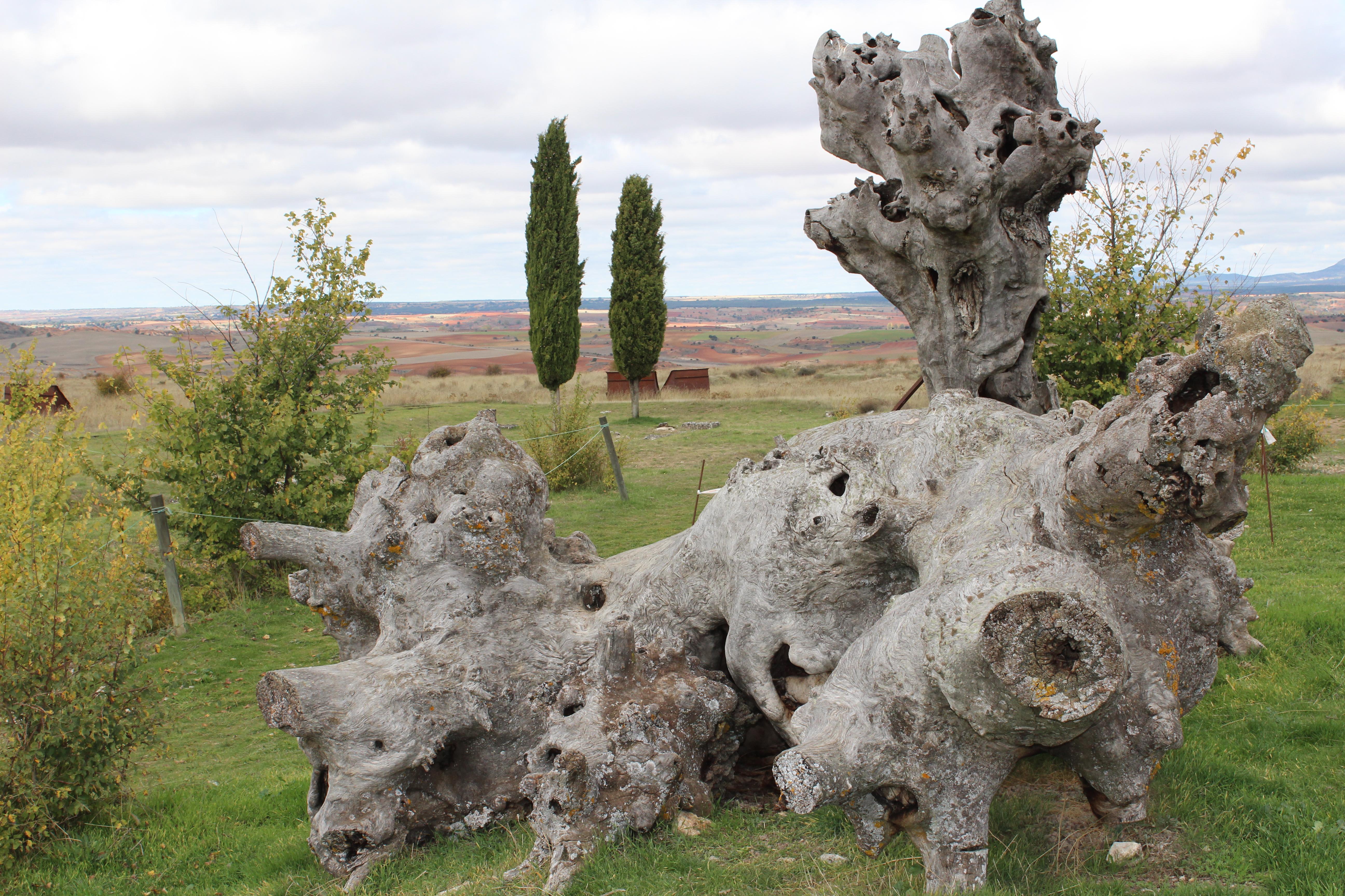 Monumentos históricos en Burgos que revelan su rica belleza cultural