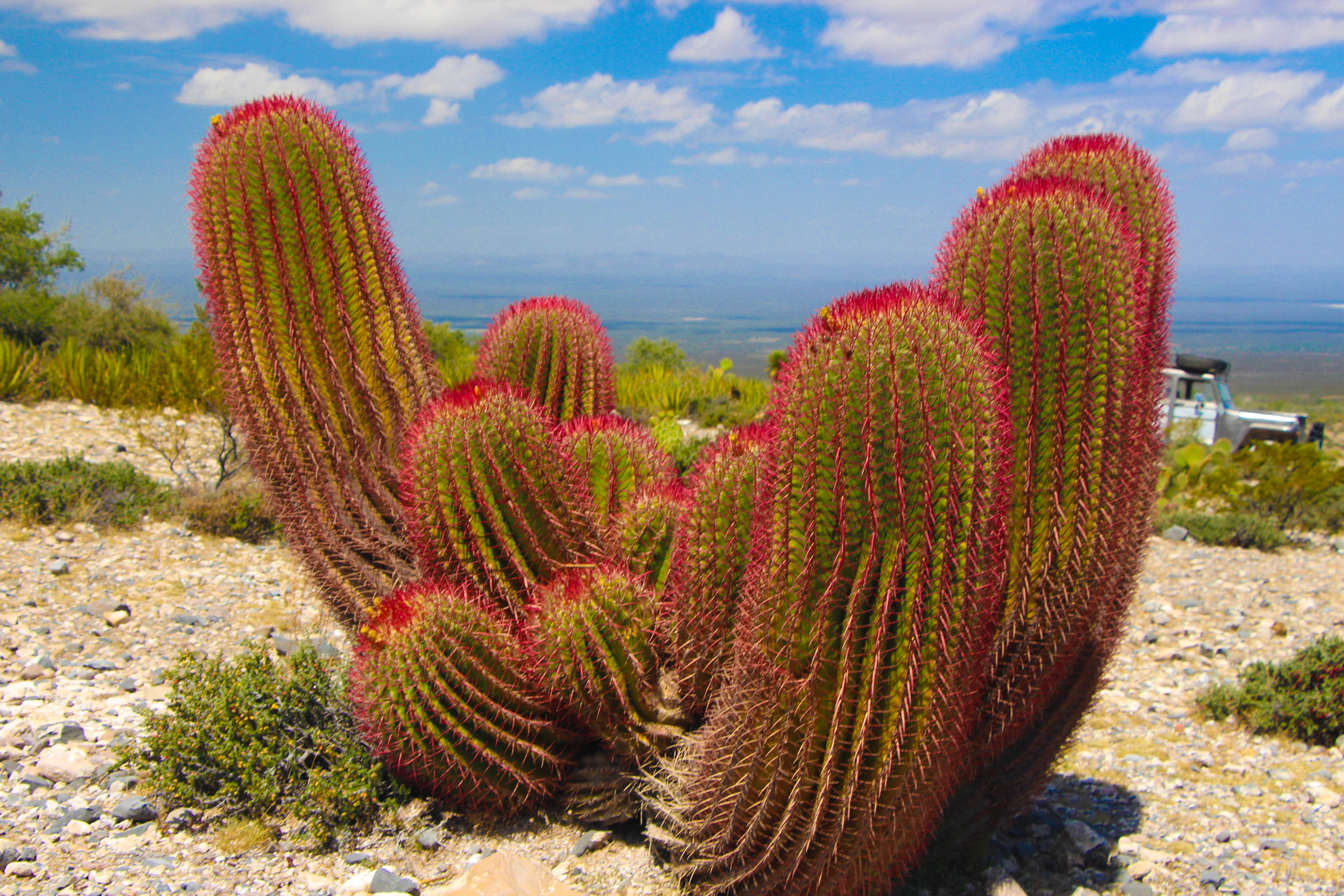 Aire libre en Real de Catorce: aventura y naturaleza en un destino mágico