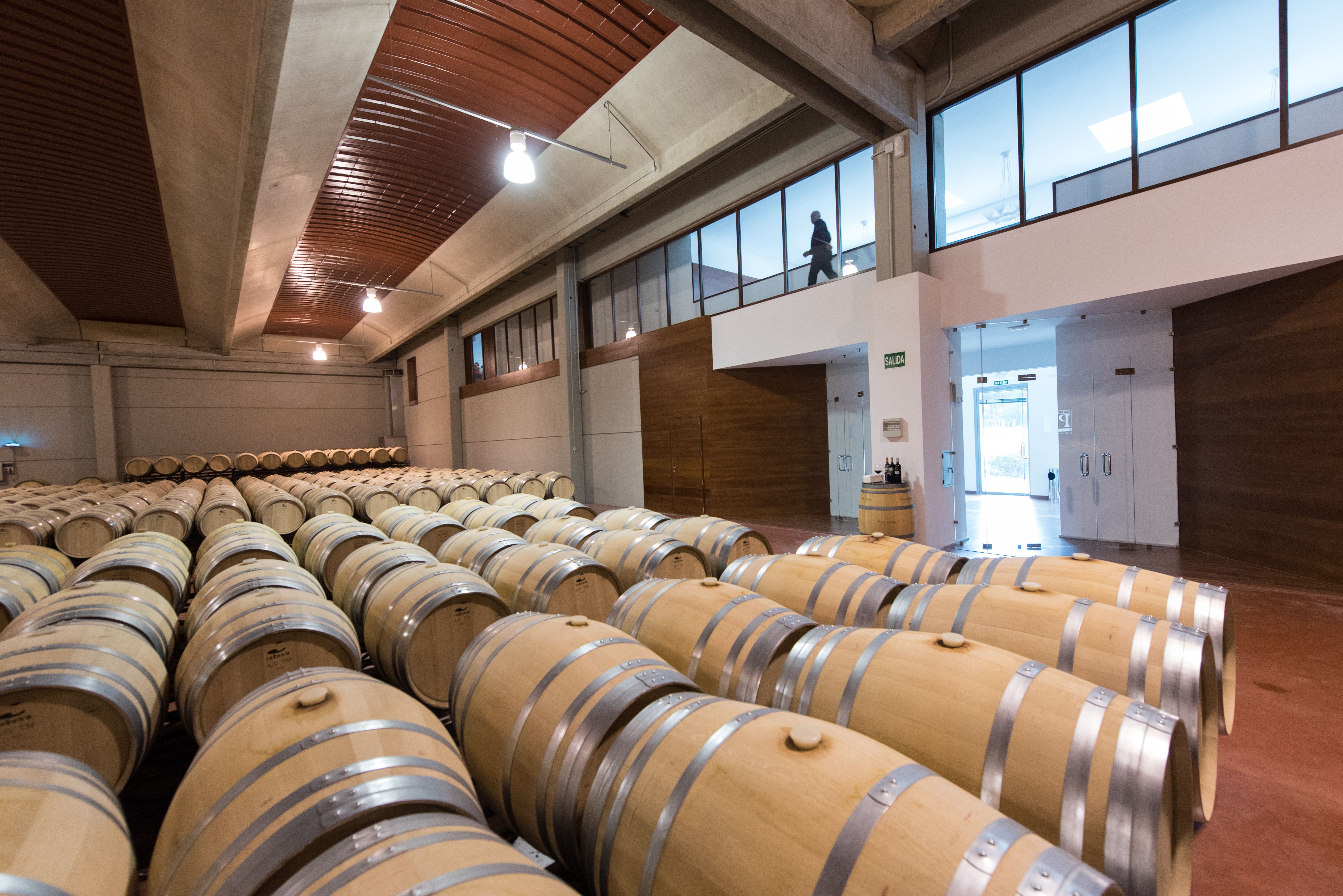 Bodegas Pinna Fidelis, por Ruta del Vino Ribera del Duero