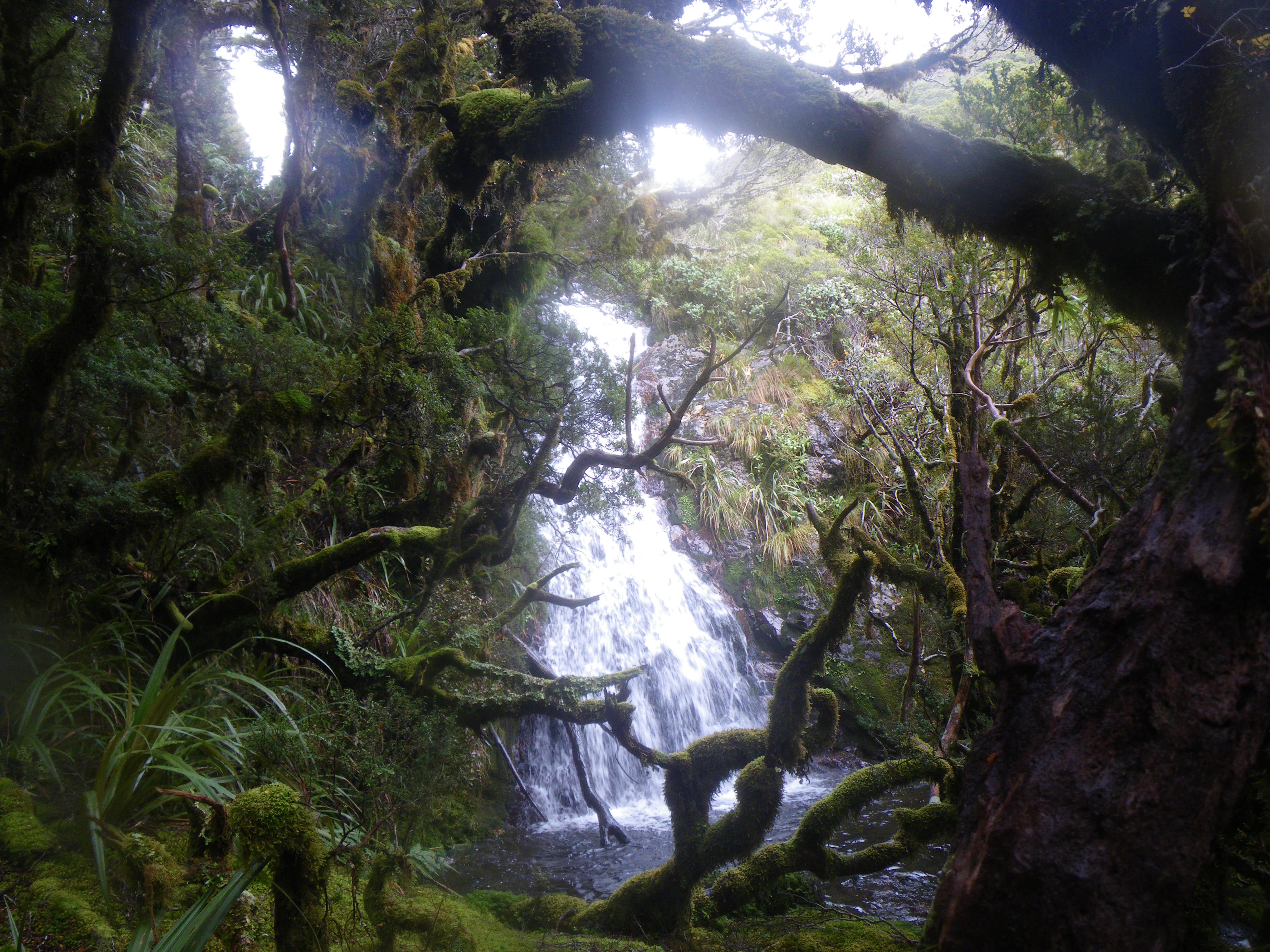 Parque Nacional Kahurangi, por Zombeni